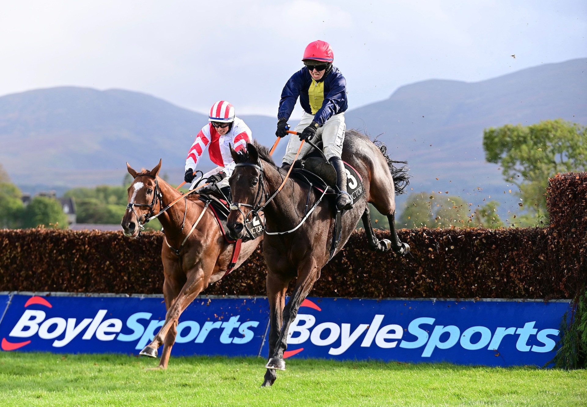 Dancing On My Own (Milan) Makes A Winning Chase Debut At Killarney