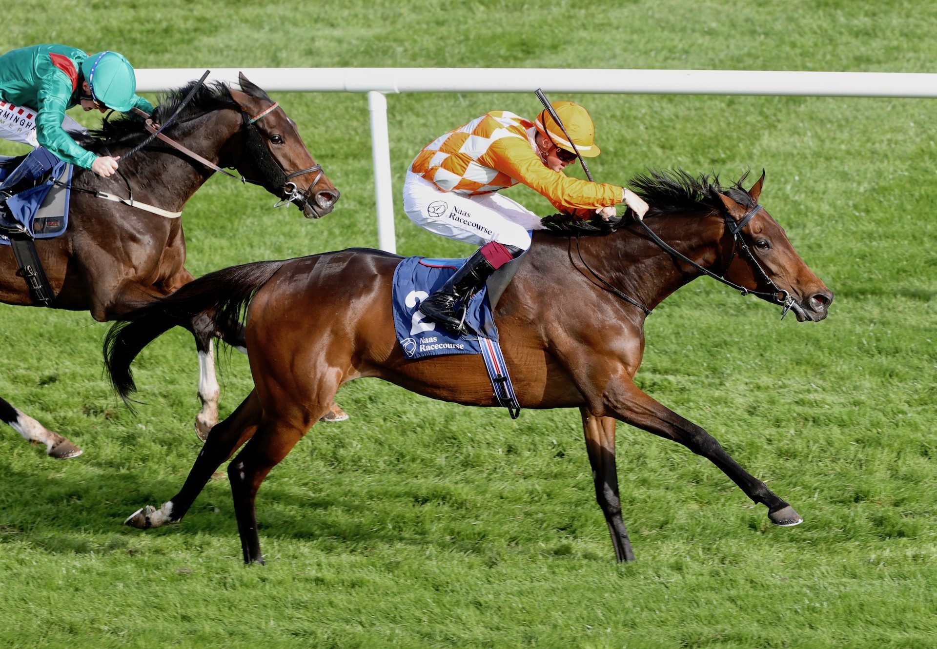 Dancing Tango (Camelot) Wins The Listed Bluebell Stakes at Naas