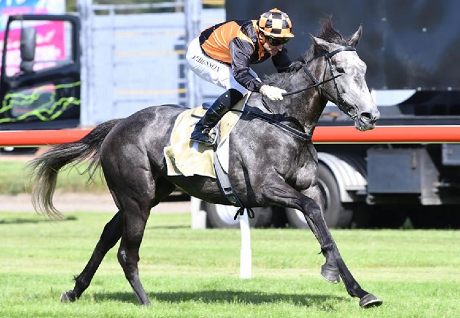 Danzdanzdance (Mastercraftsman) winning the G1 Captain Cook Stakes at Trentham