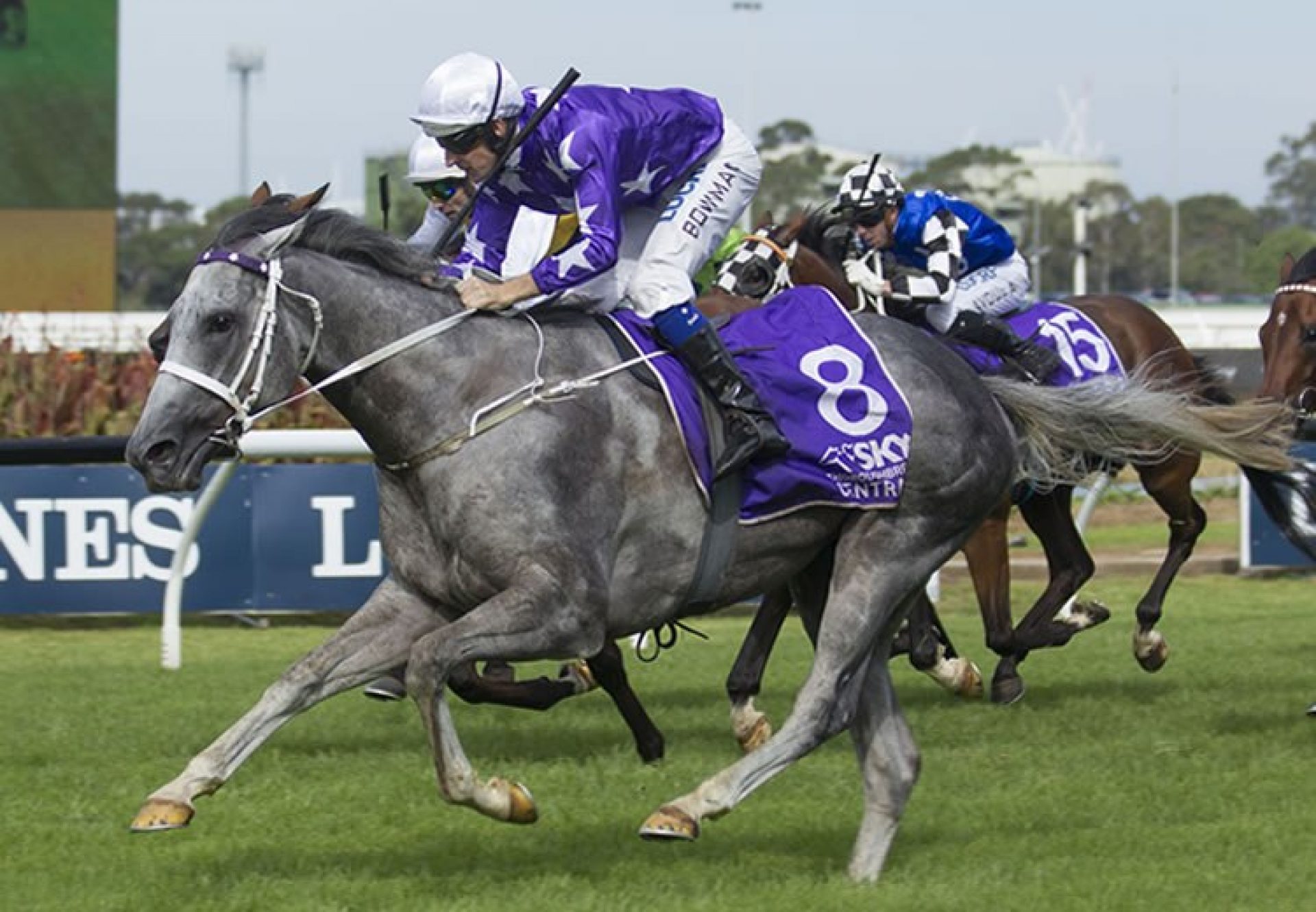 D'Argento (So You Think) winning the G1 Rosehill Guineas at Rosehill