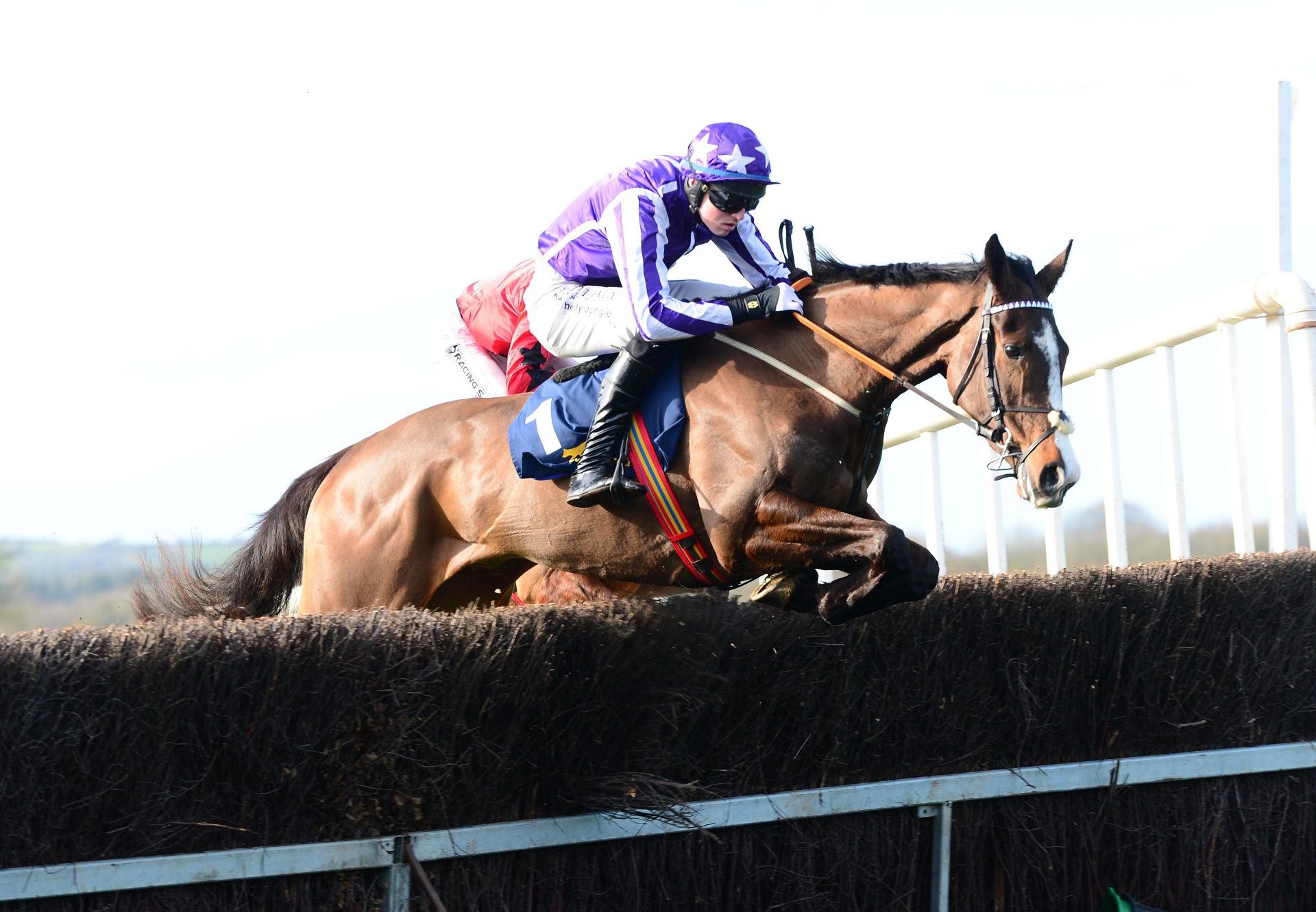 De Tellers Fortune (Soldier Of Fortune) Wins The 4YO Maiden At Ballinaboola