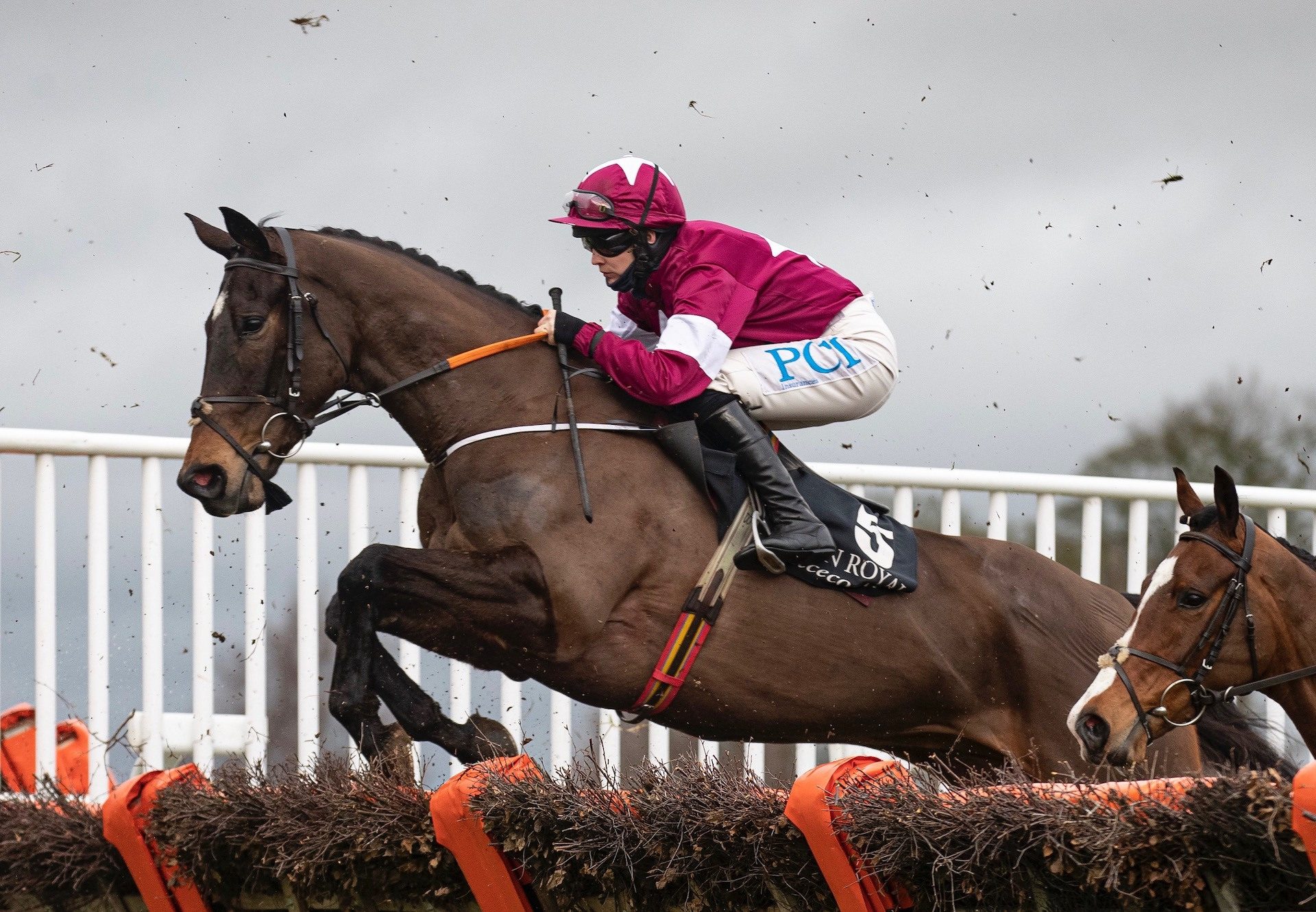 Decimation (Milan) Wins The Maiden Hurdle At Down Royal