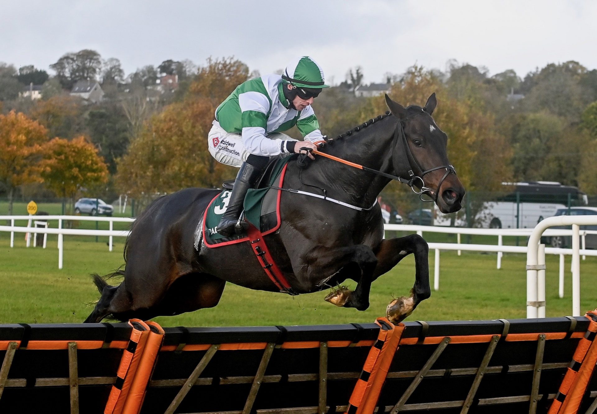 Dee Capo (Maxios) Wins His Maiden Hurdle at Cork