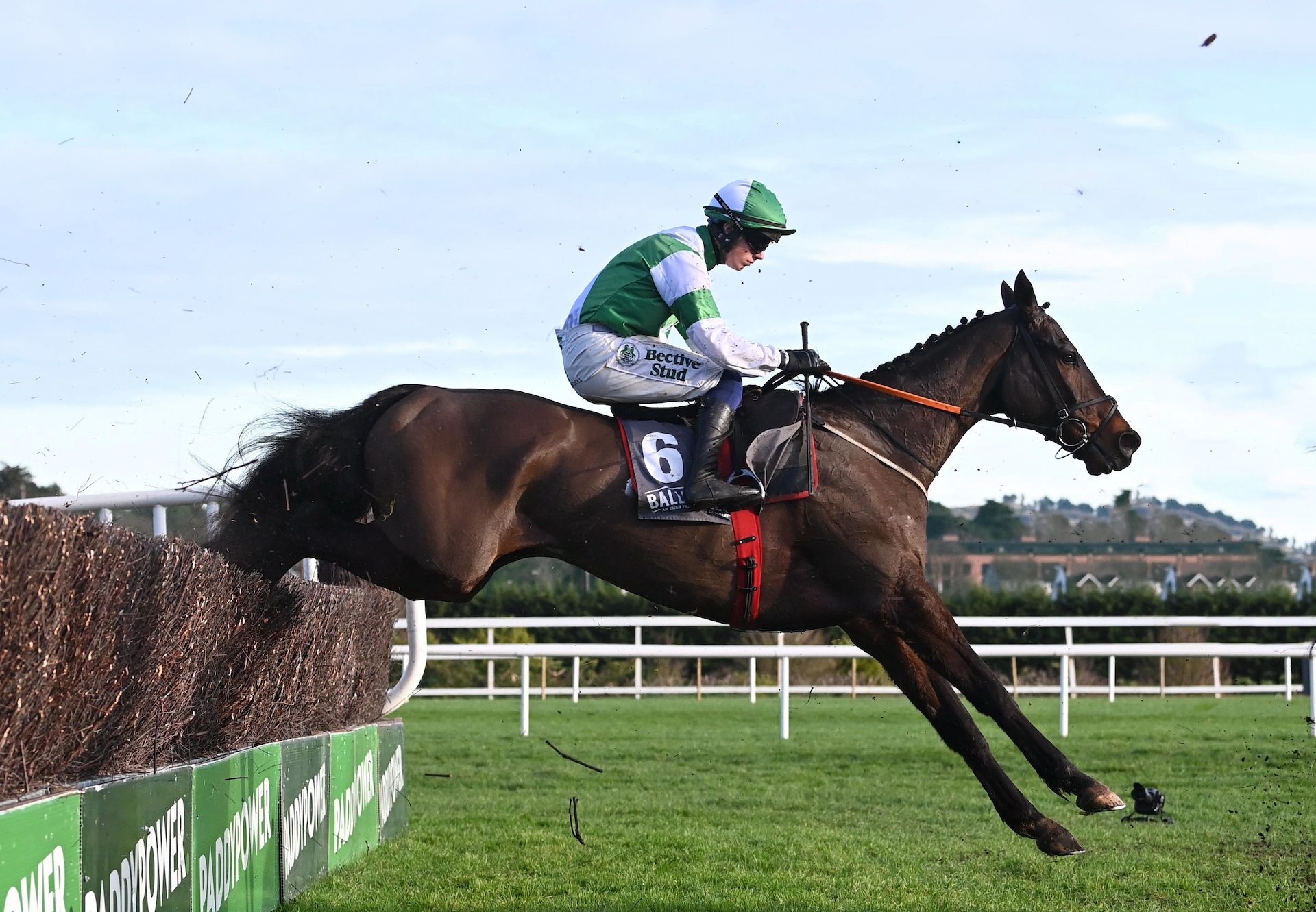 Dee Capo (Maxios) Wins The Rising Stars Beginners Chase At Leopardstown