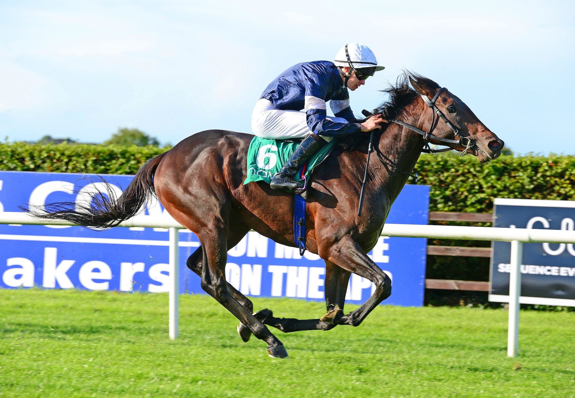 Degraves Becomes The Latest Winner By Camelot