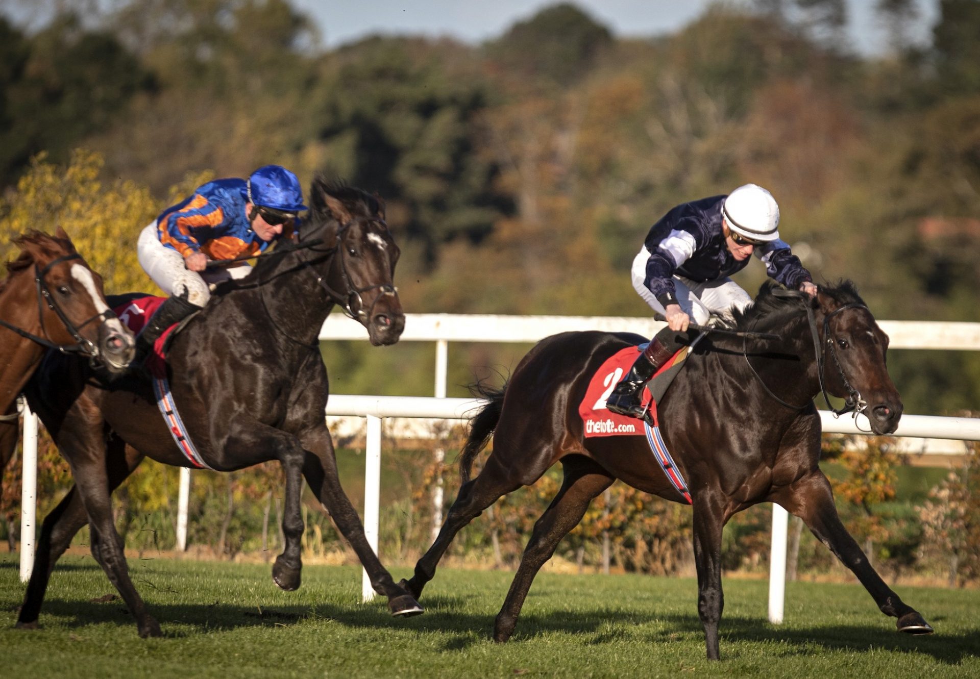 Degraves (Camelot) winning the Gr.3 Eyrefield Stakes at Leopardstown