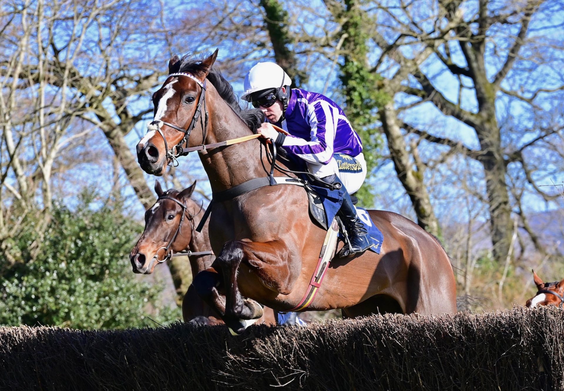 Demandrivingdouvan (Walk In The Park) Impresses At Borris