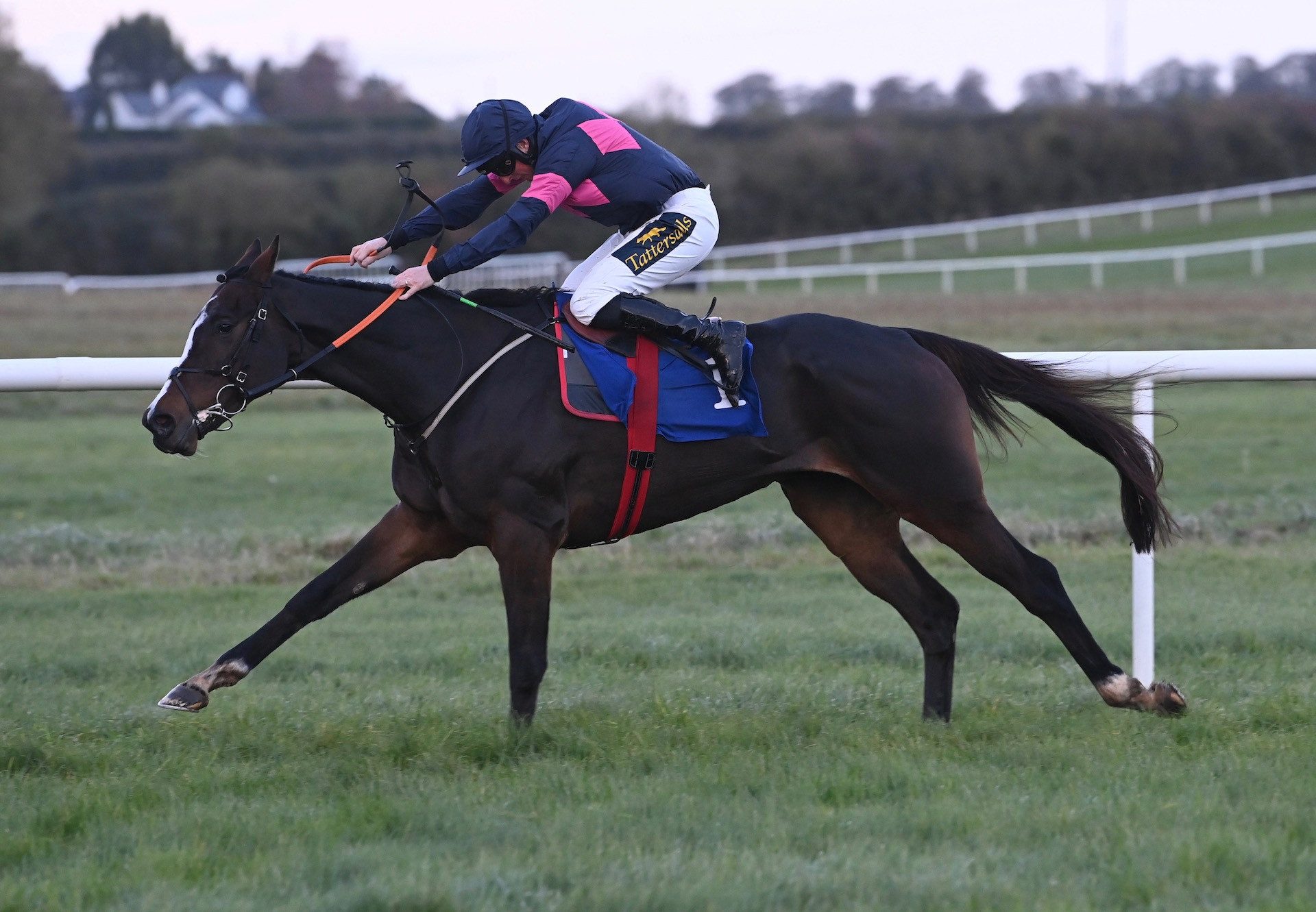 Demandrivingdouvan (Walk In The Park) Wins The Bumper At Thurles