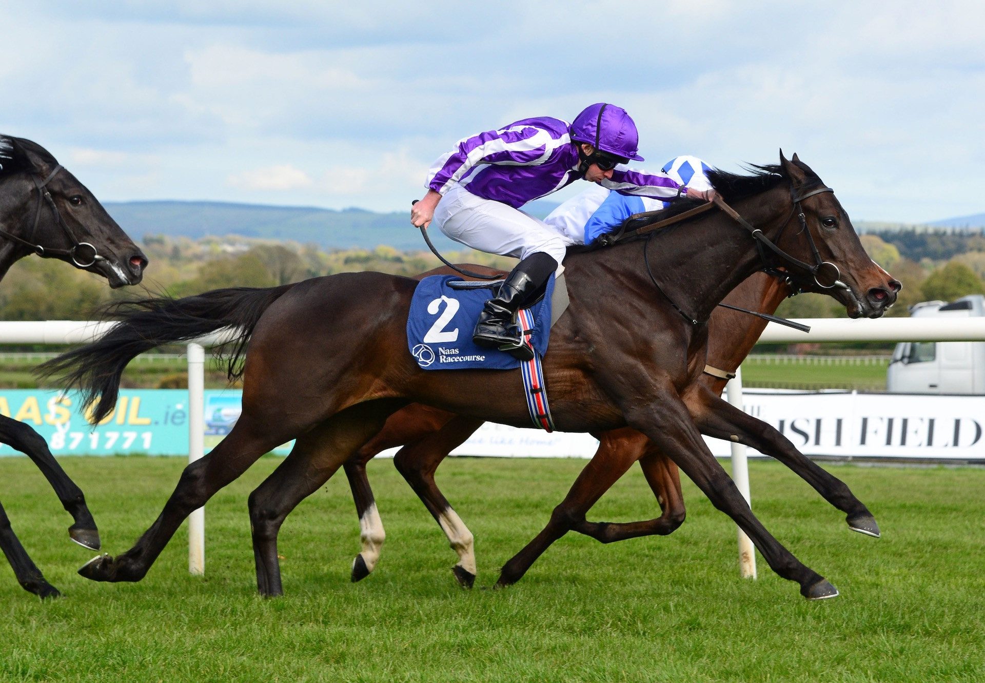 Deneuve (No Nay Never) Wins On Debut At Naas