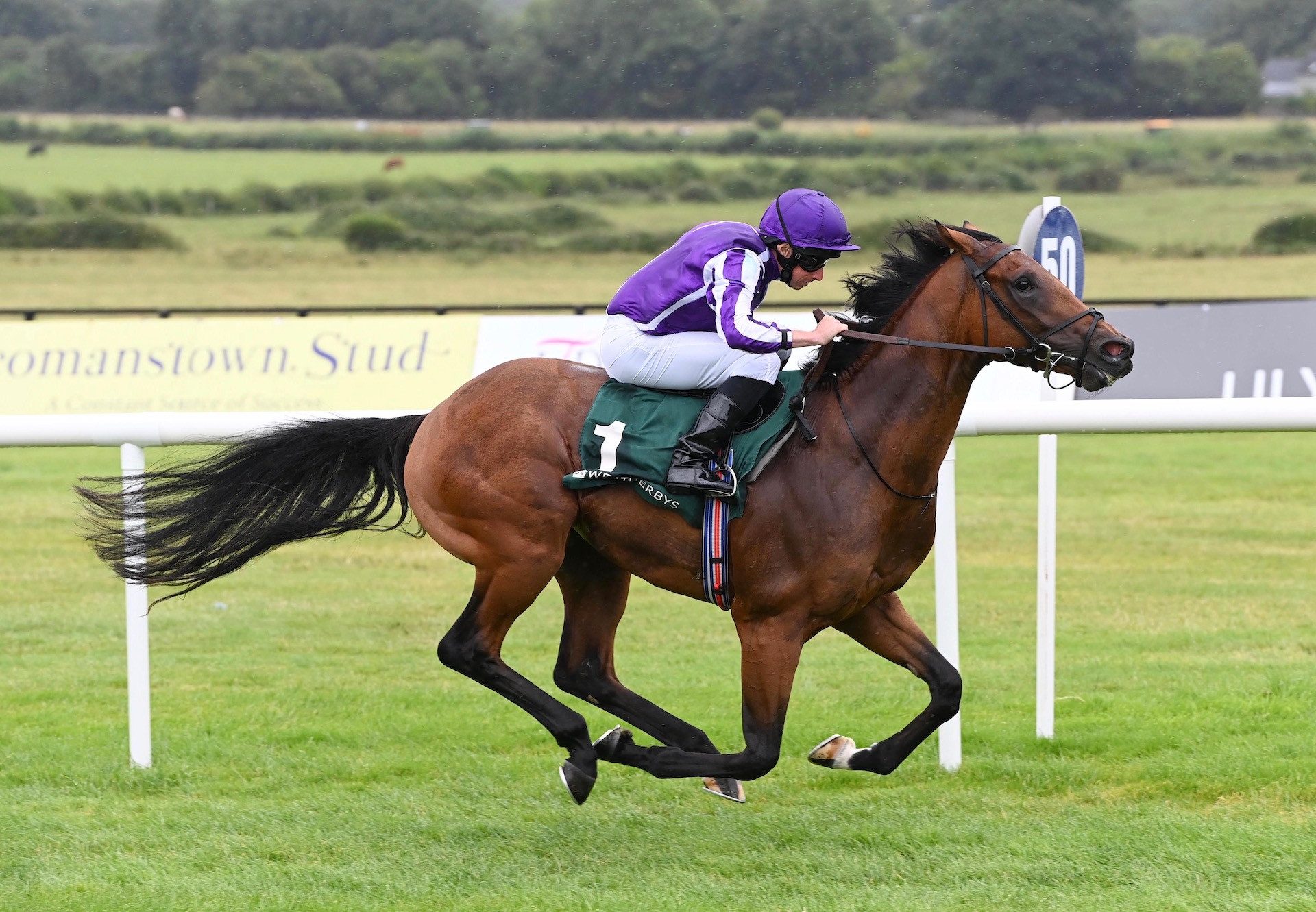 Denmark (Camelot) Impresses On Debut At Naas