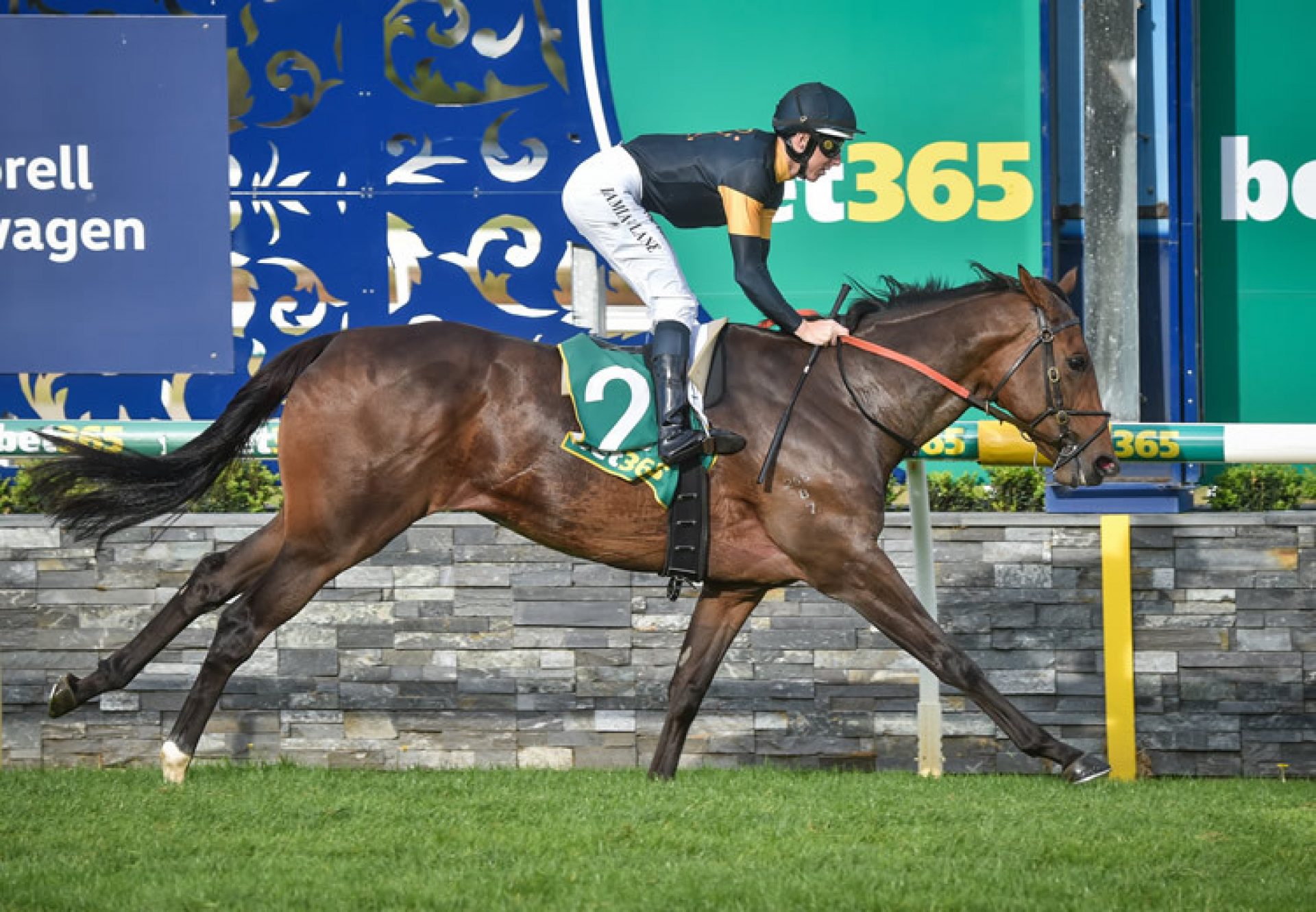 Deny Knowledge (Pride Of Dubai) winning the Geelong Country Oaks at Geelong