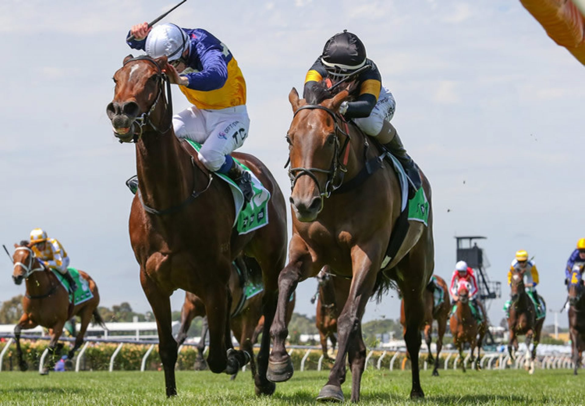 Deny Knowledge (Pride Of Dubai) wins the Gr.2 Matriarch Stakes at Flemington