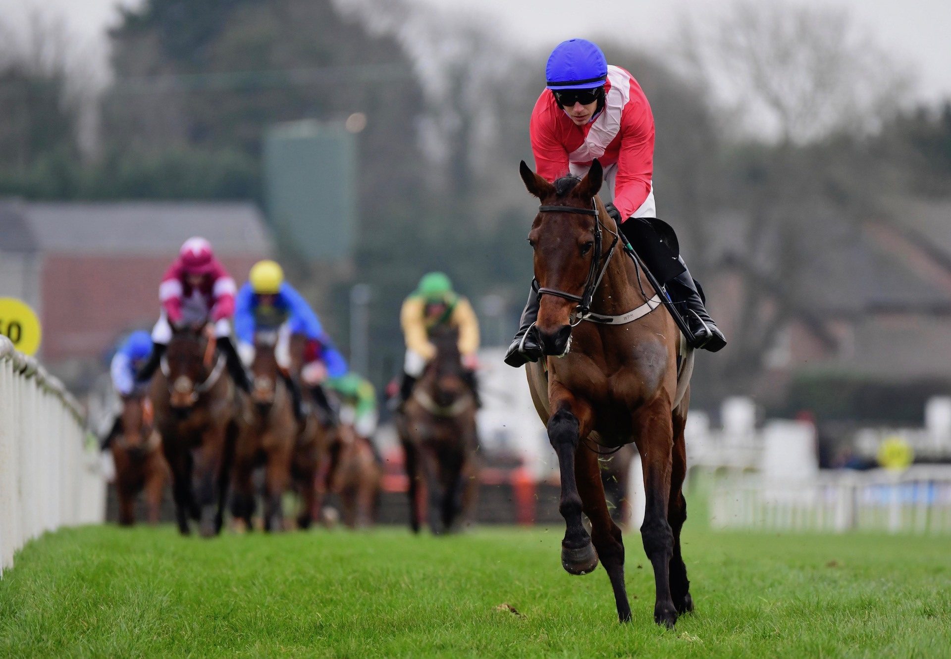 Deploy The Getaway (Getaway) Impresses At Down Royal