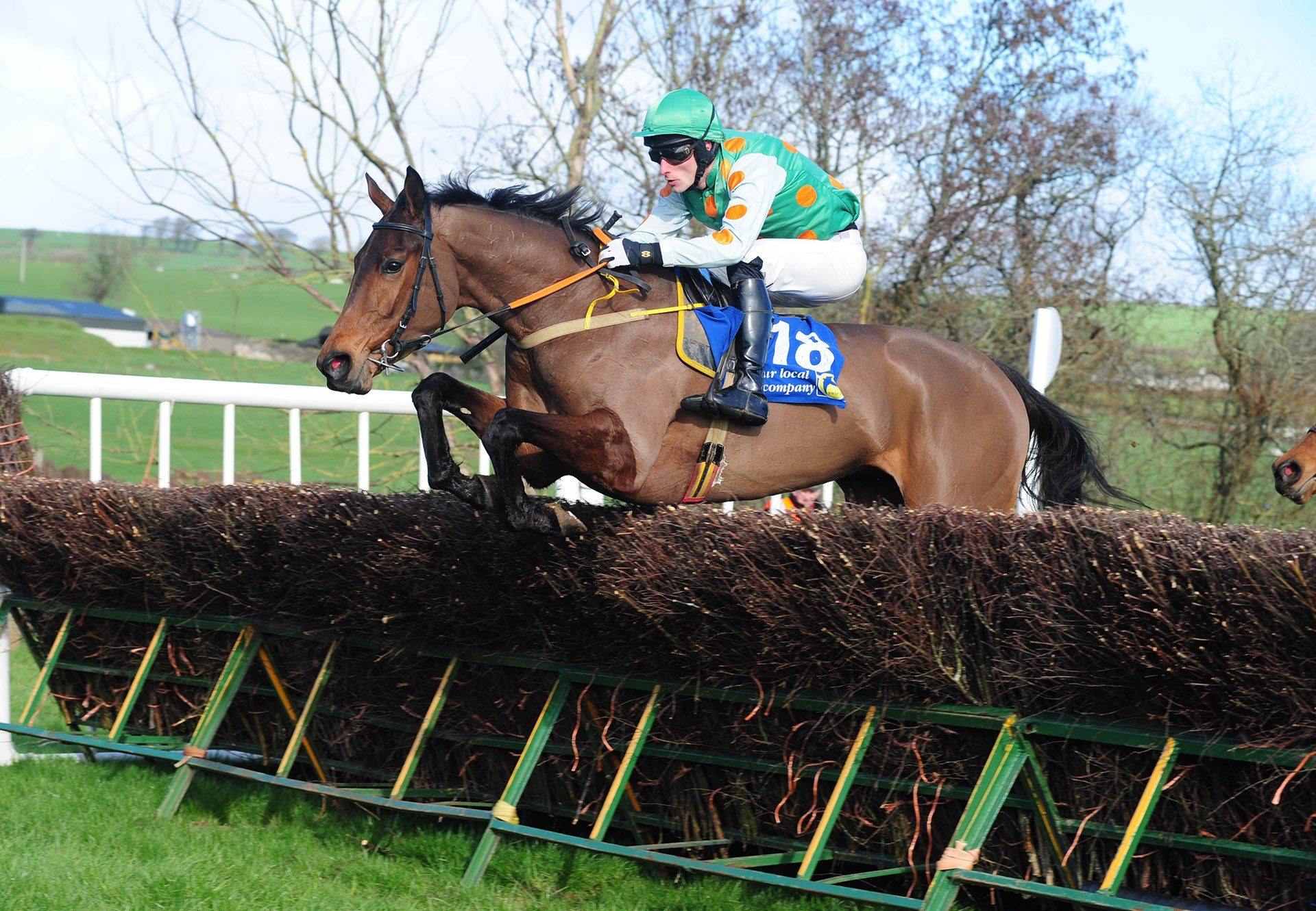 Deploy The Getaway (Getaway) winning a 4yo maiden point-to-point at Tallow