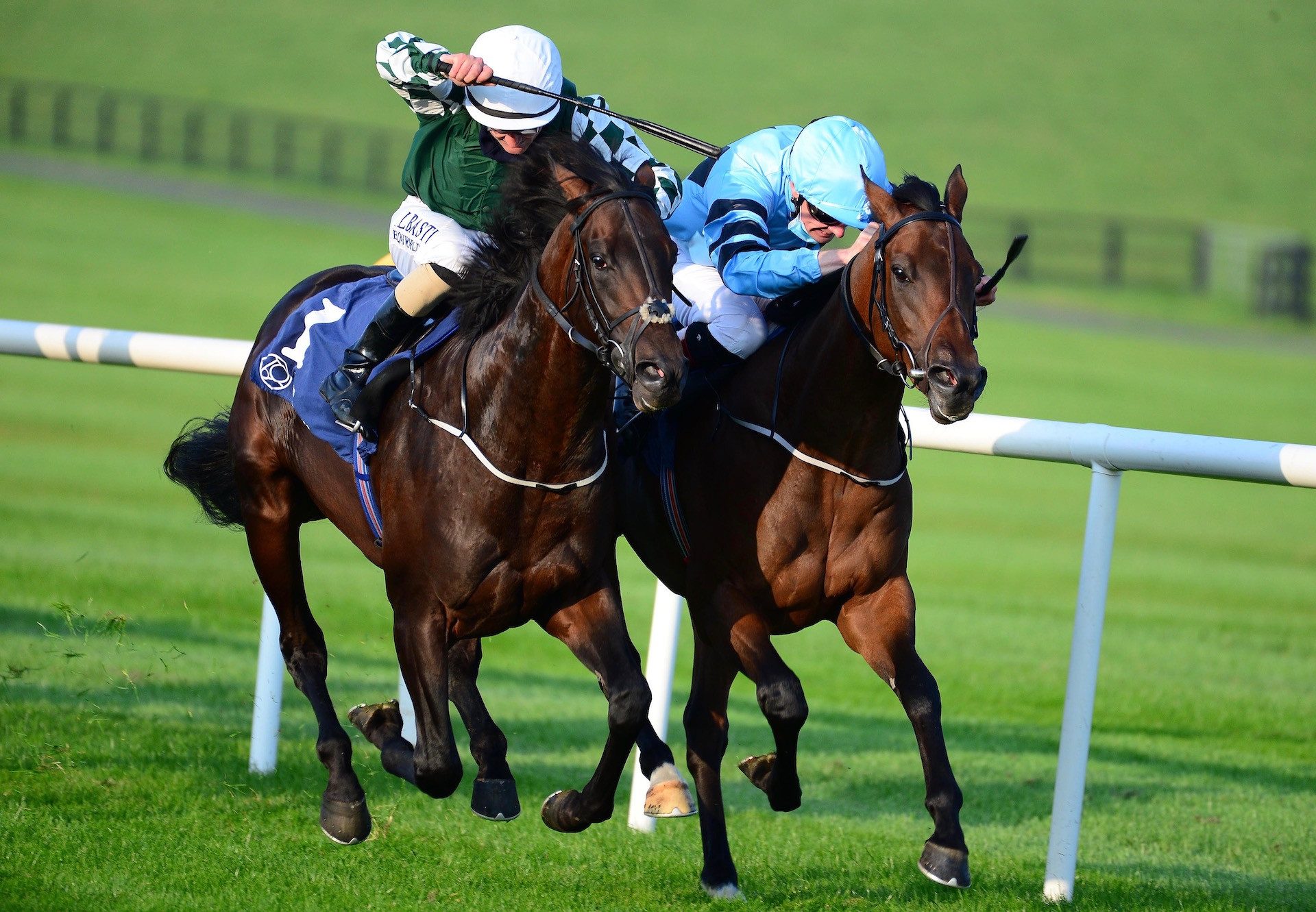 Deputy Sandy (Footstepsinthesand) Wins On Debut At Naas