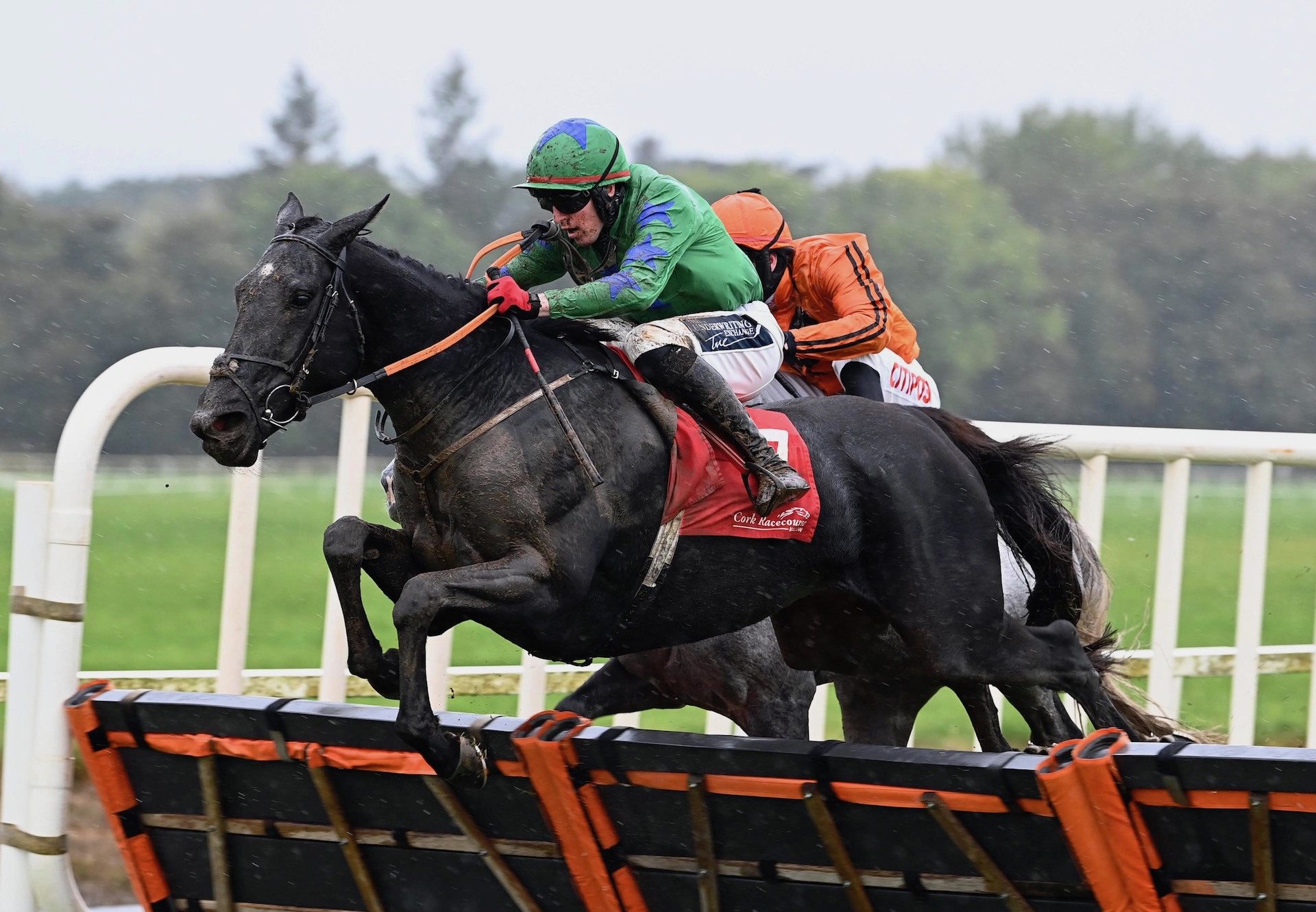 Derrylinda (Soldier Of Fortune) Wins The Maiden Hurdle At Cork