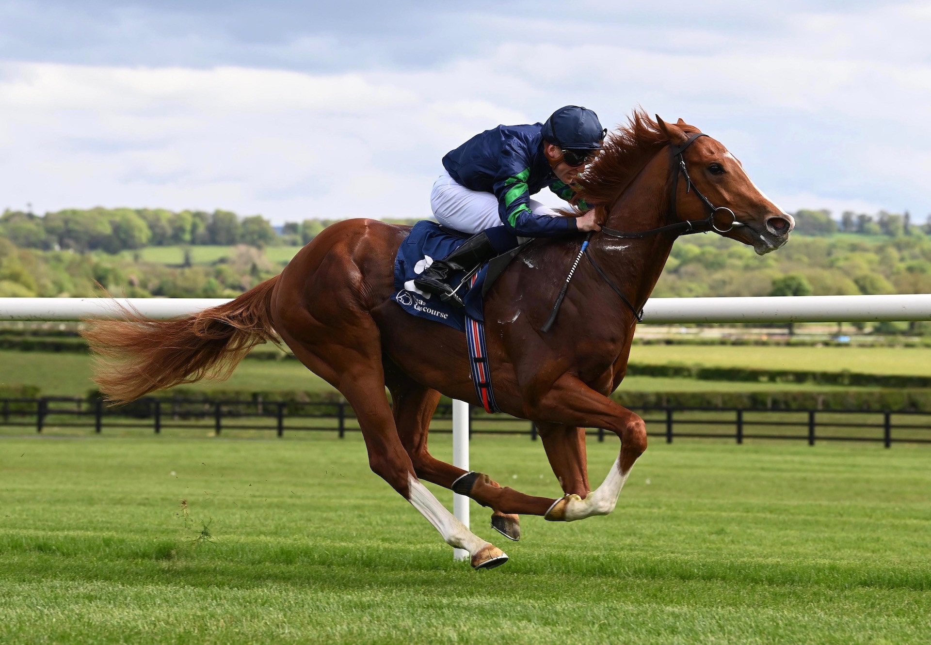 Devious (Starspangledbanner) Wins On Debut At Naas