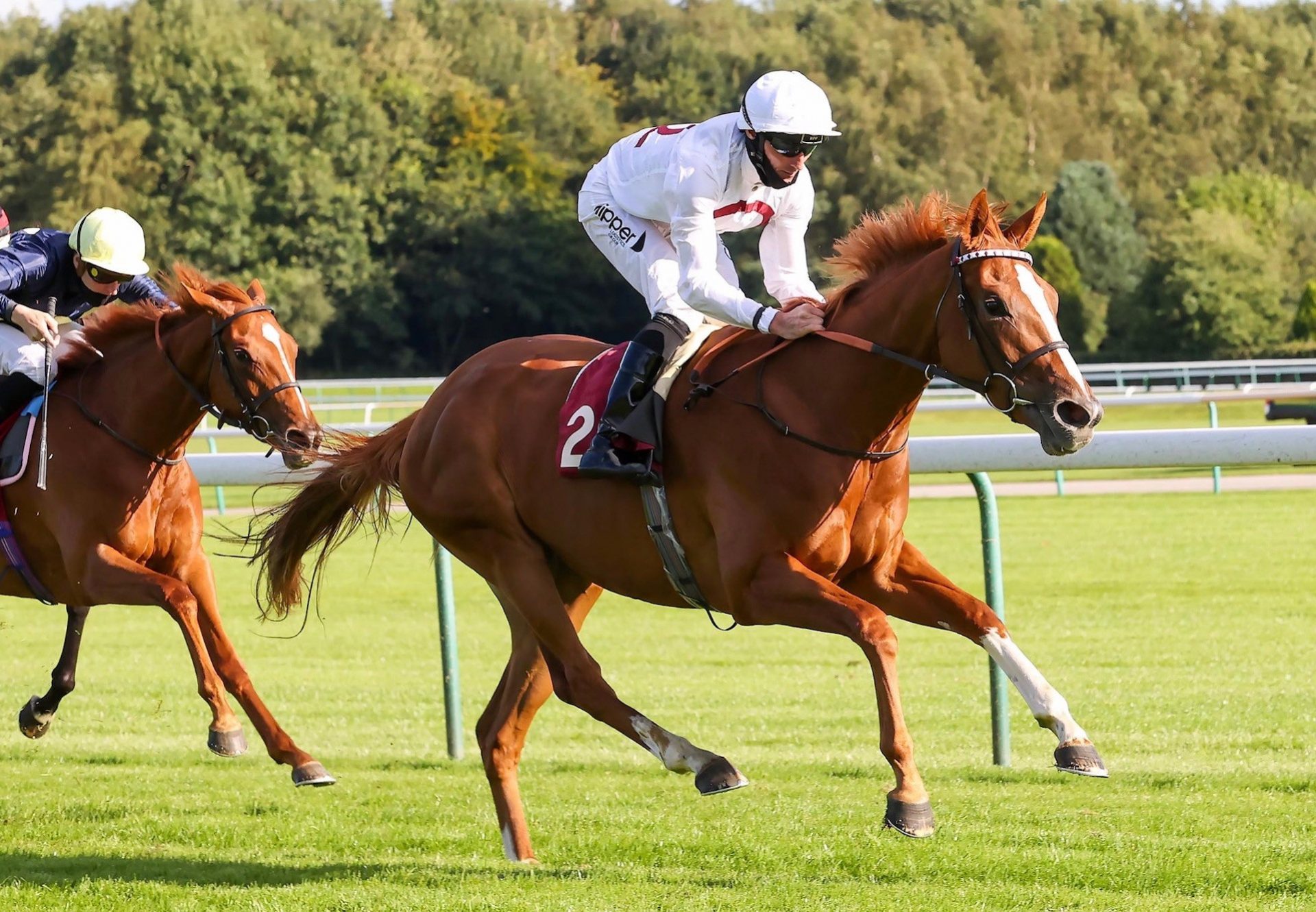 Dhabyah (Australia) Wins On Debut At Haydock