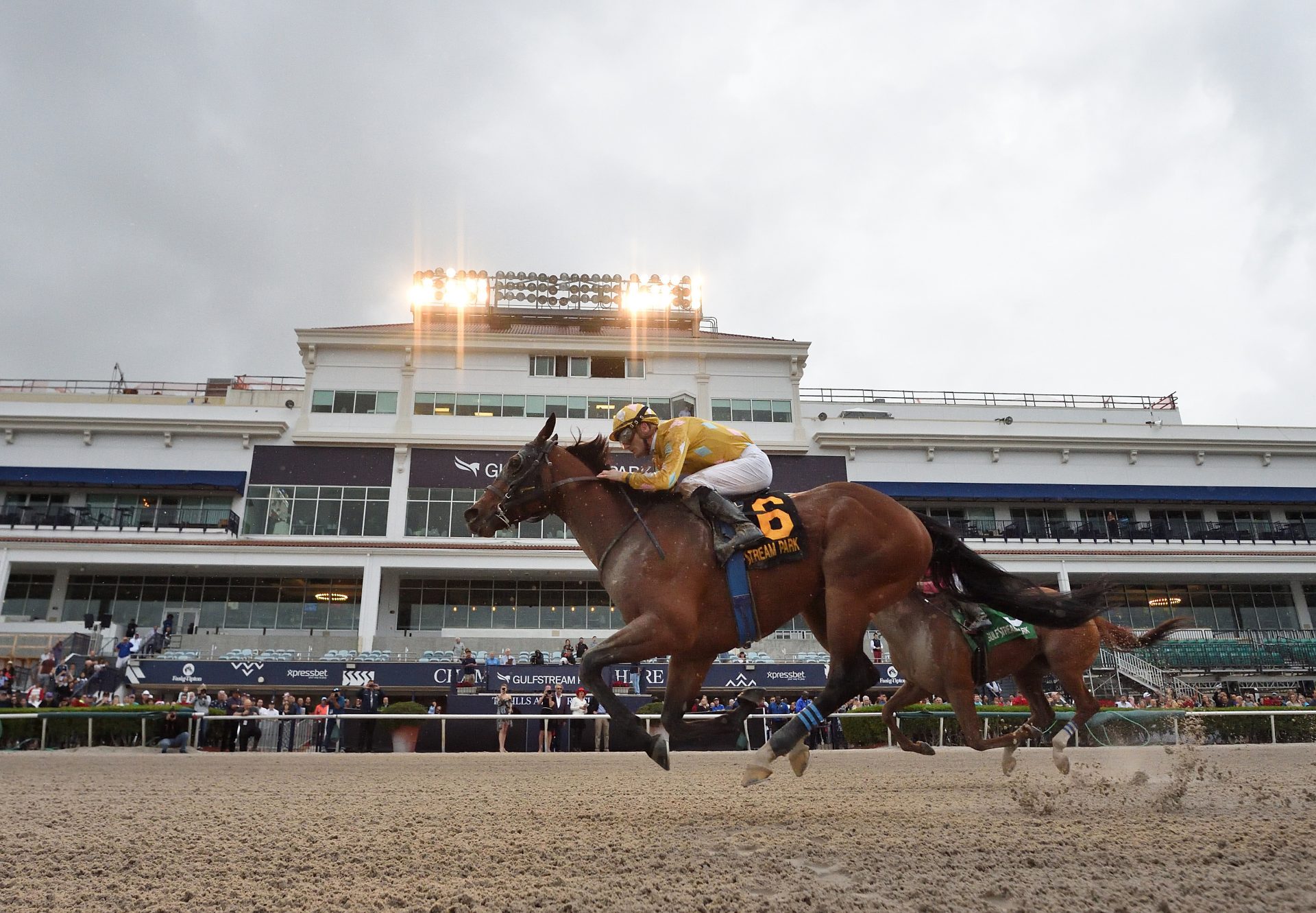 Diamond Oops (Lookin At Lucky) winning the Gr.3 Mr Prospector Stakes