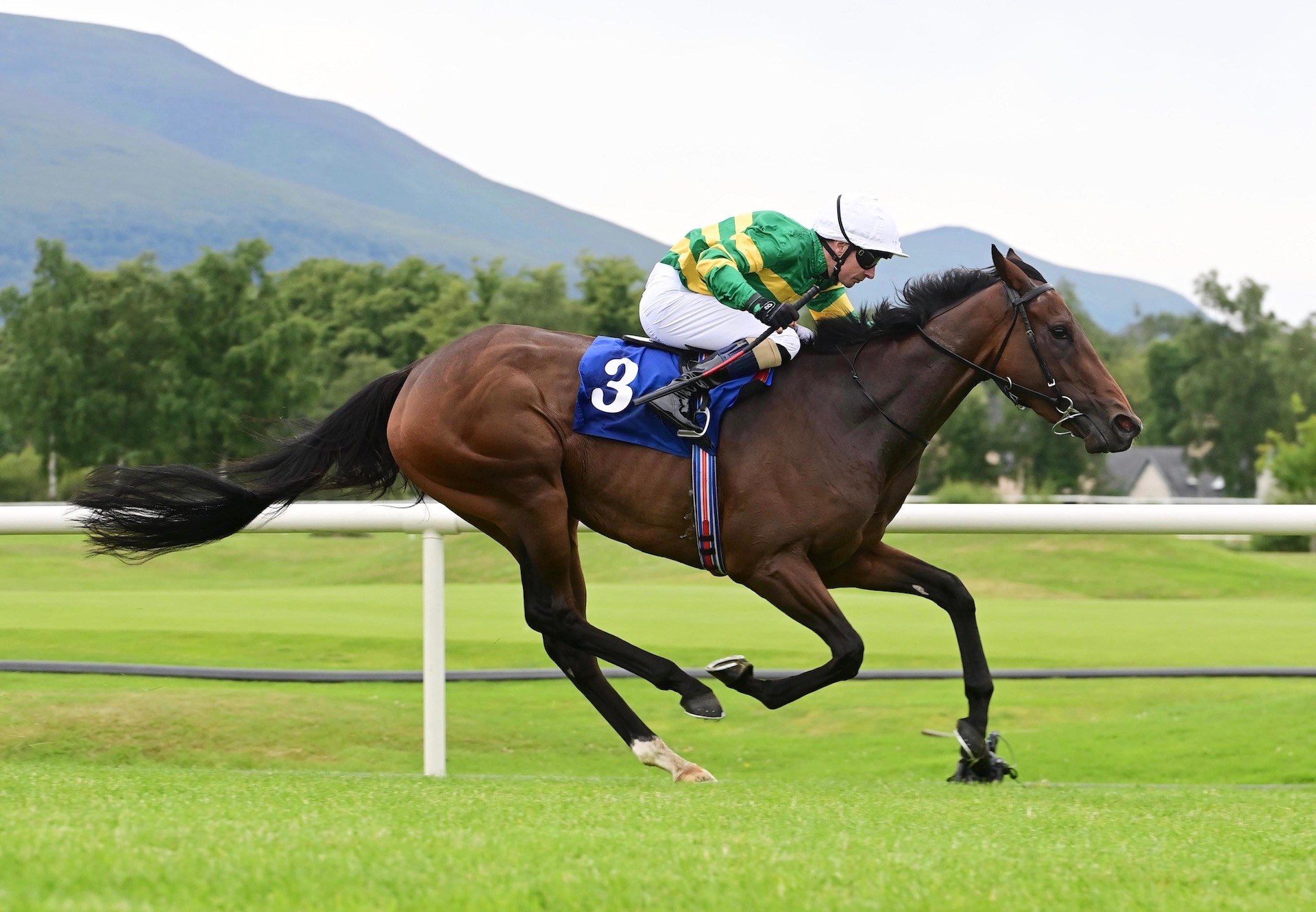 Didn'thavemuchtodo (Highland Reel) Wins At Killarney