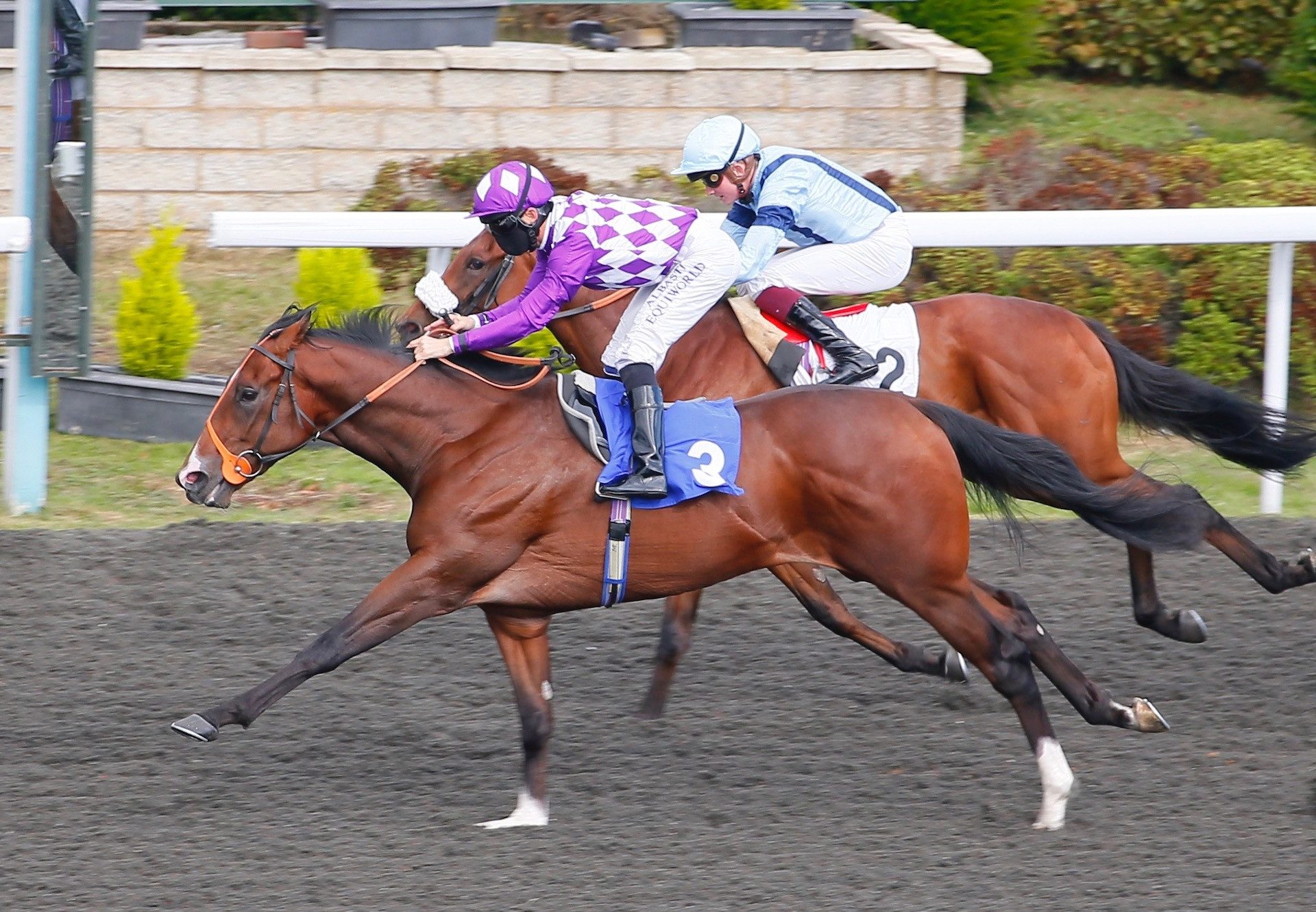 Dingle (Footstepsinthesand) Wins At Kempton