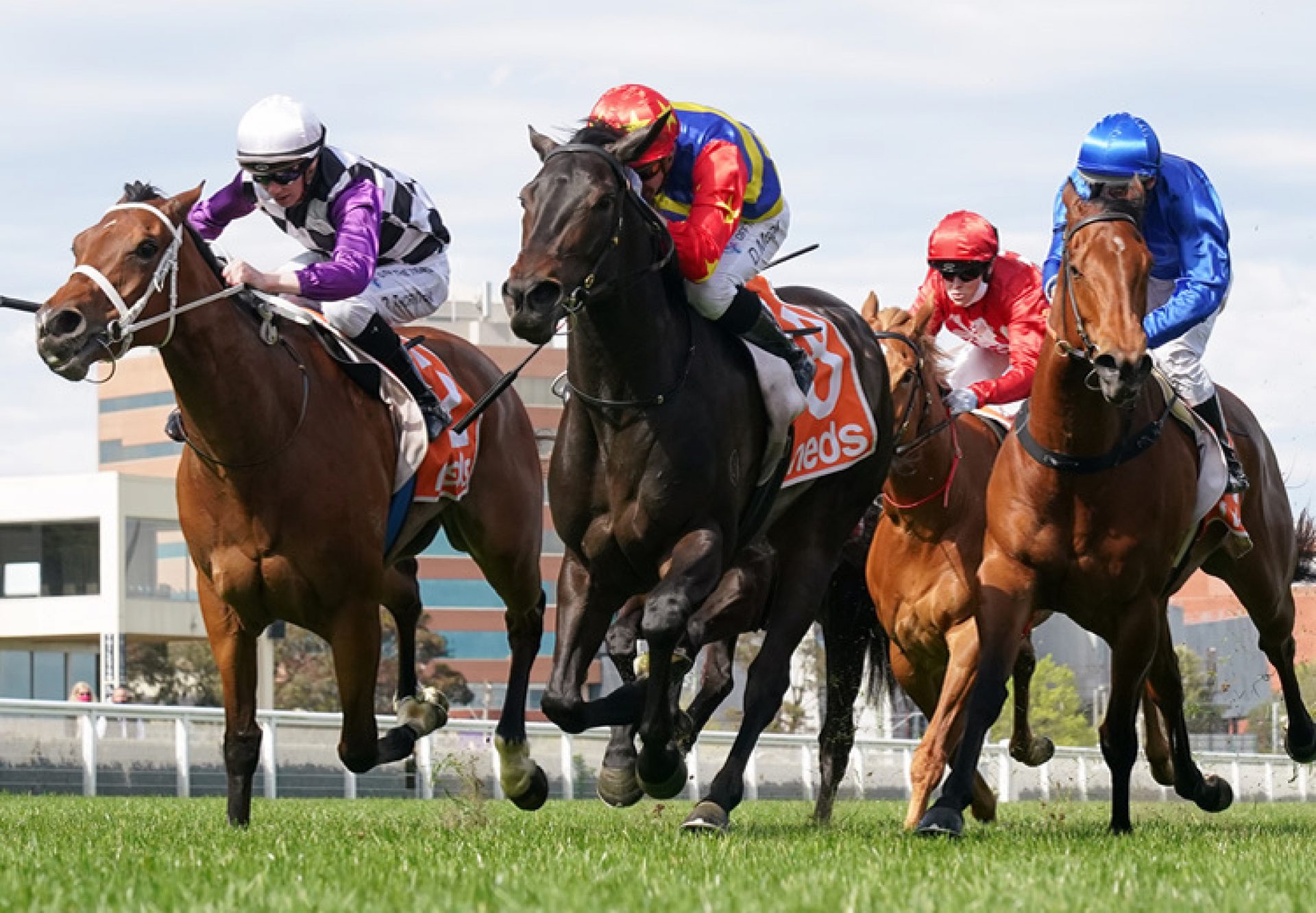 Dirty Thoughts (So You Think) winning the Gr.3 Northwood Plume Stakes at Caulfield