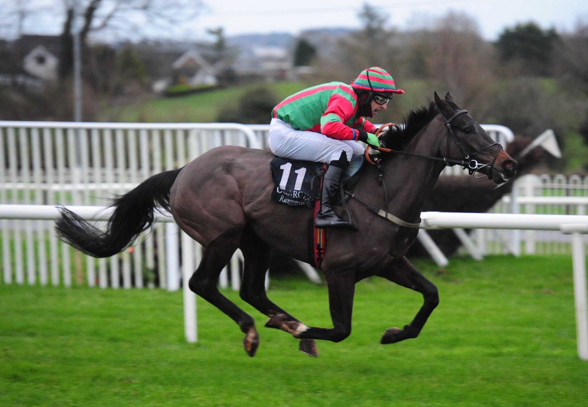 Dixie Flyer (Westerner) Wins The Bumper At Down Royal