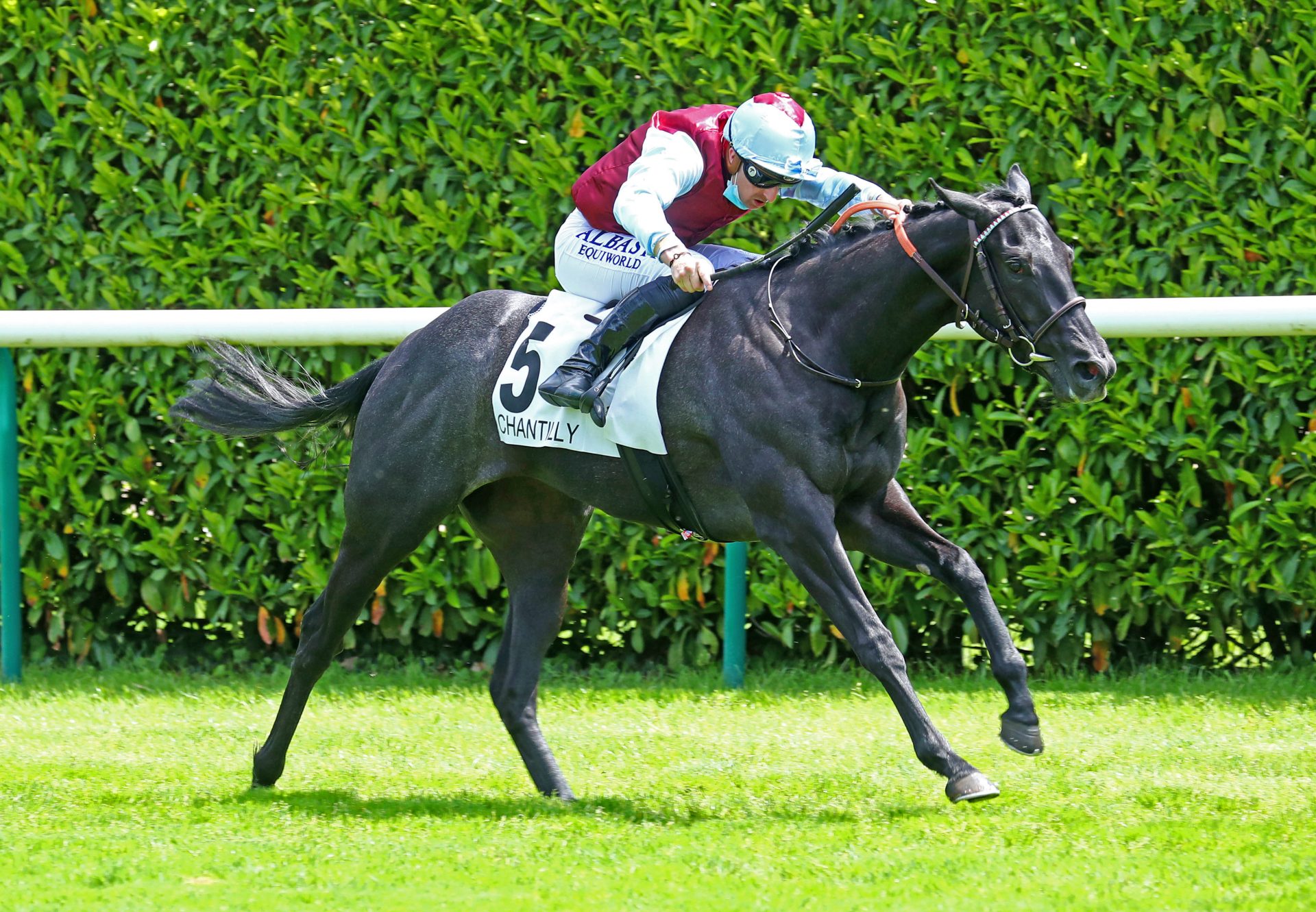 Dizzy Bizu (Caravaggio) Wins the Listed Prix La Fleche at Chantilly