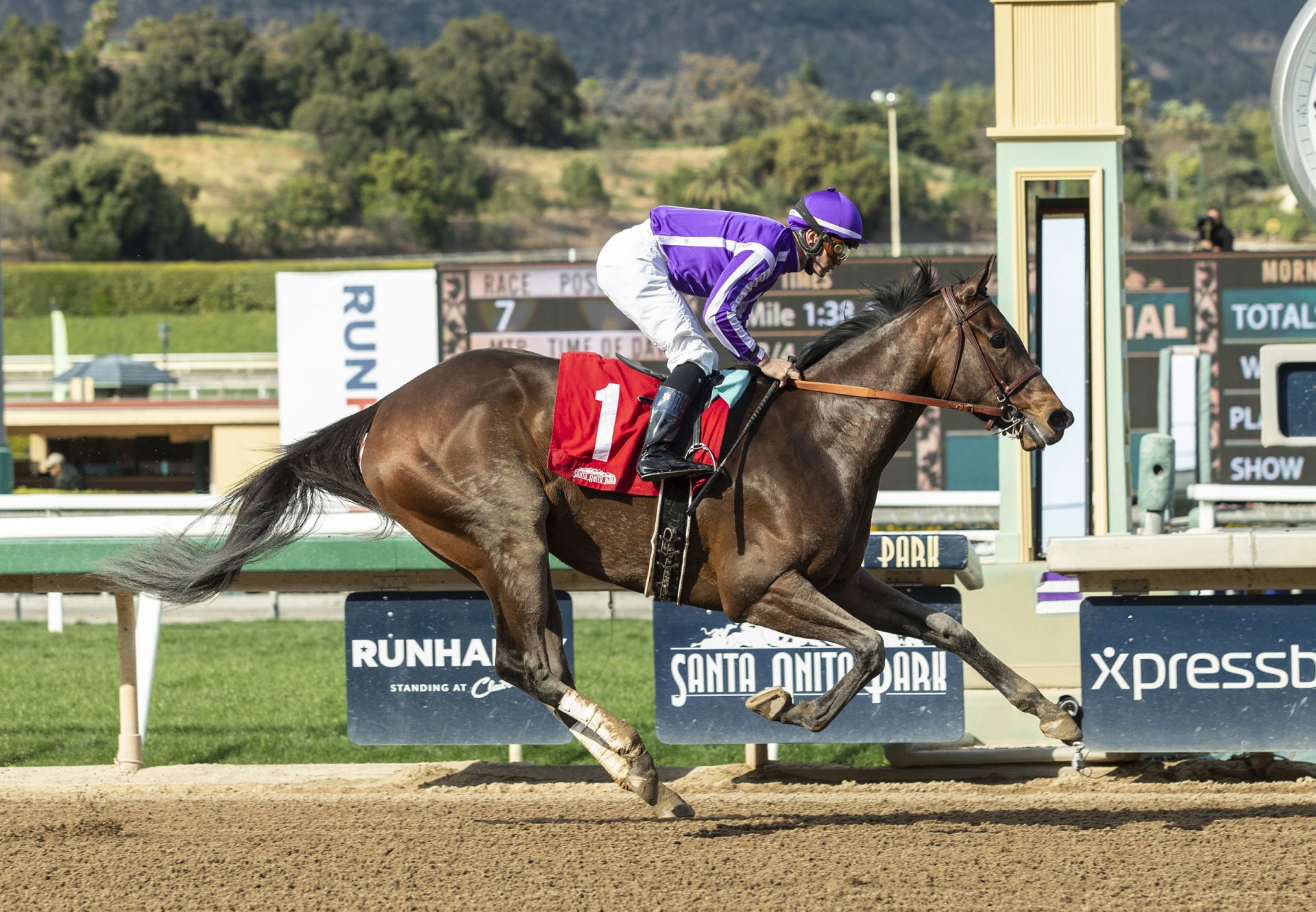 Donna Veloce (Uncle Mo) wins Gr.3 Santa Ysabel