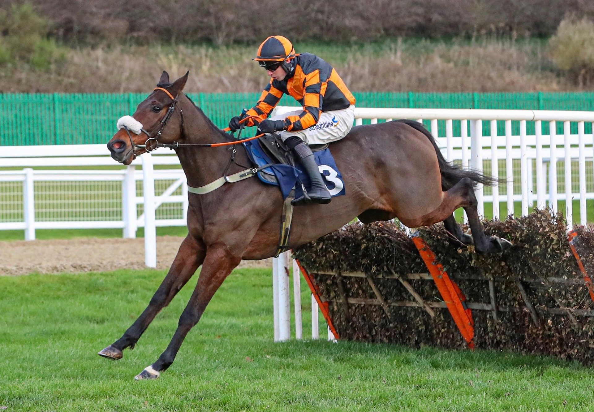 Donny Boy (Westerner) Wins His Maiden Hurdle at Newcastle