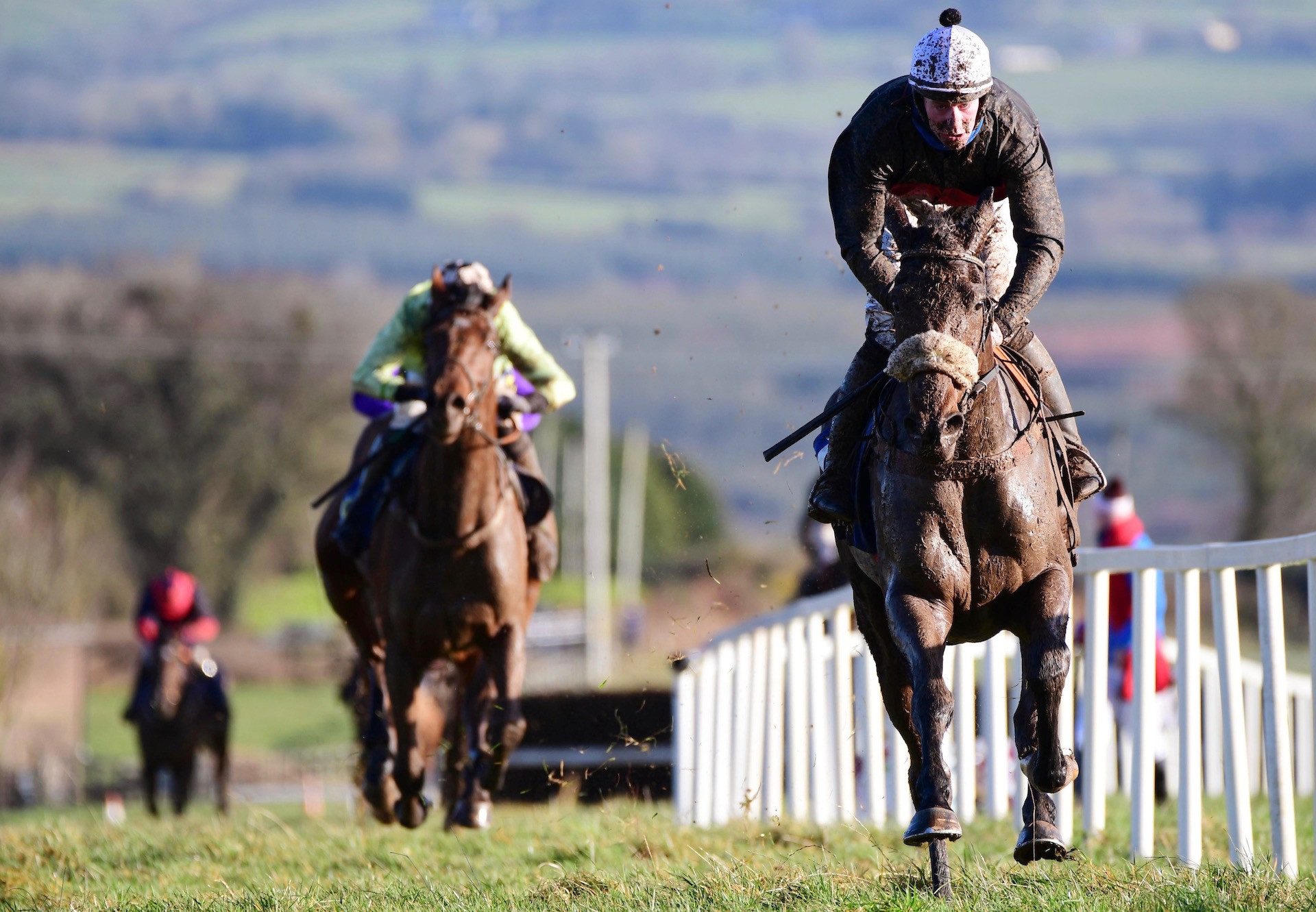 Donny Boy (Westerner) Wins The 4YO Maiden At Dromahane