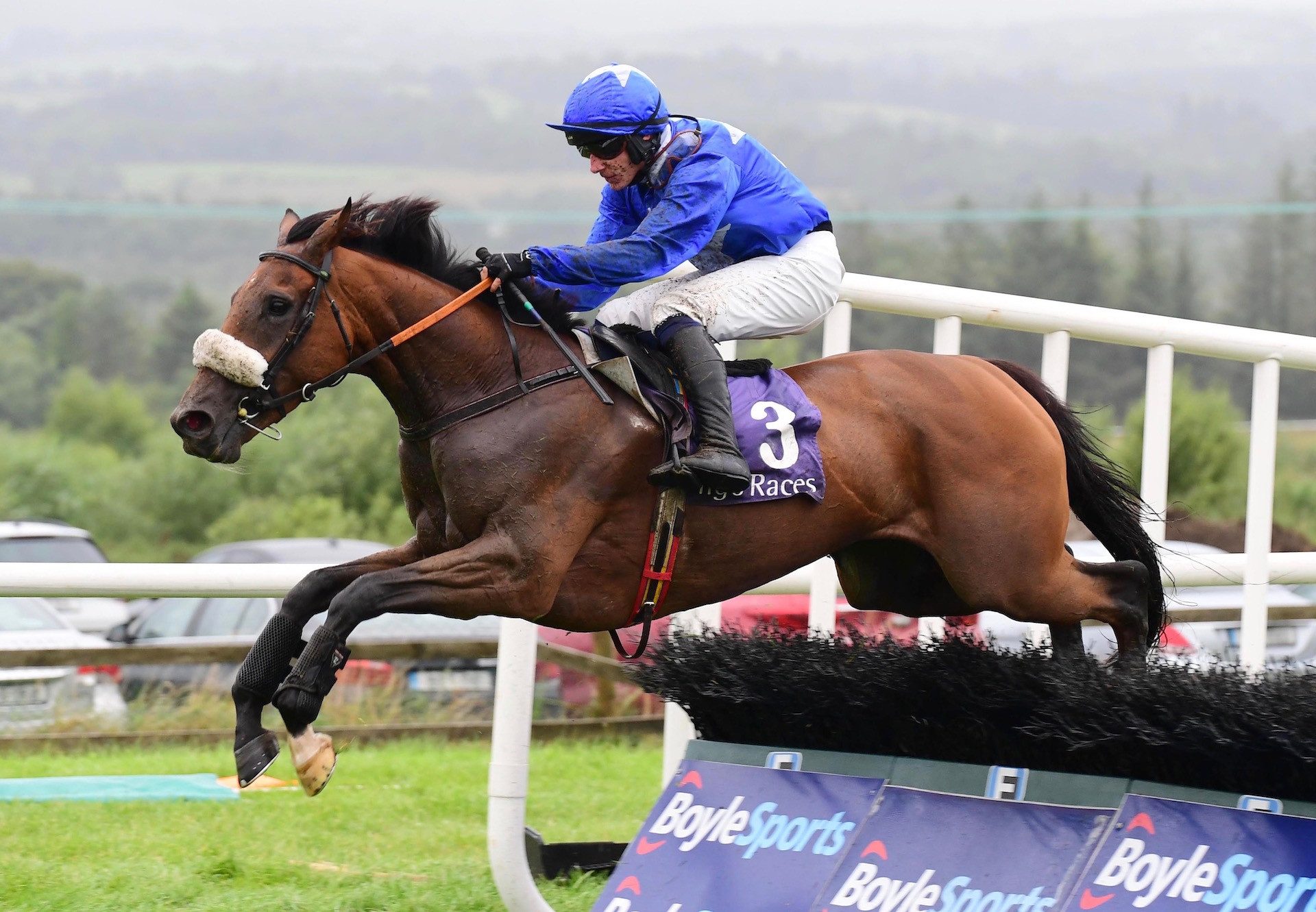 Donthavetime (Westerner) Lands The Mares Maiden Hurdle At Sligo