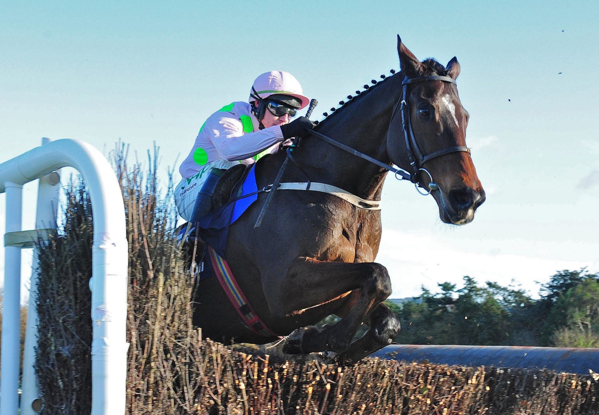 Douvan (Walk In The Park) winning the Gr.2 Clonmel Oil Chase at Clonmel