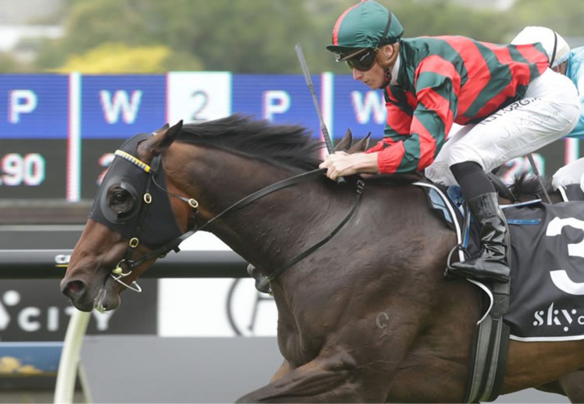 Dragon Leap (Pierro) winning the Gr.2 Auckland Guineas at Ellerslie