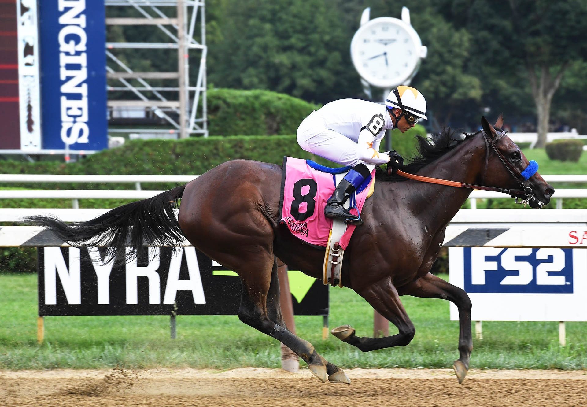 Dream Tree (Uncle Mo) winning the G2 Prioress at Saratoga