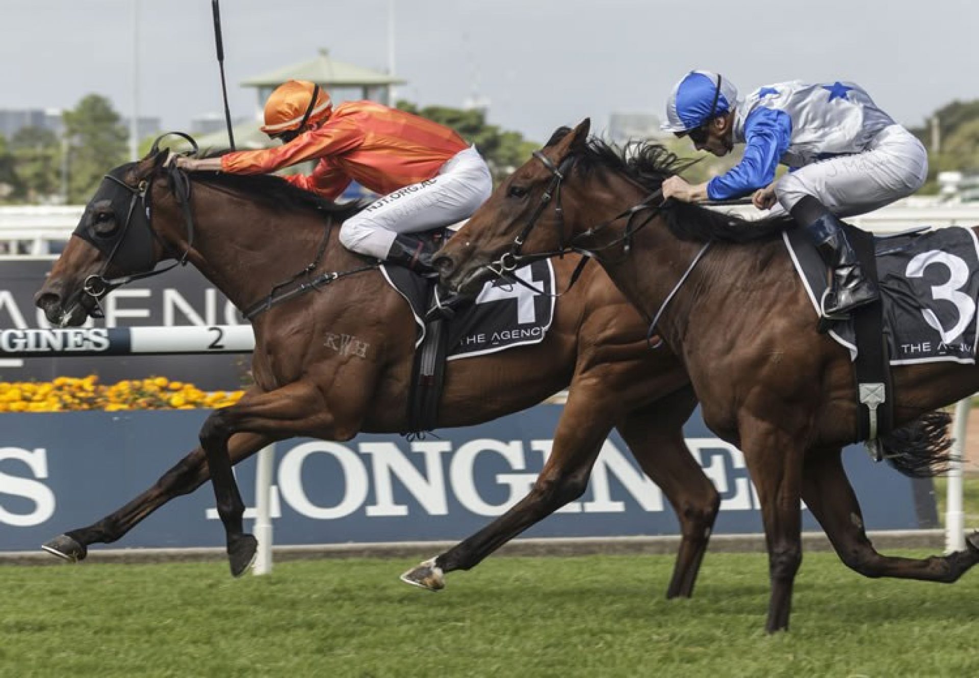 Dreamforce (Fastnet Rock) winning the Gr.1 George Ryder Stakes at Rosehill