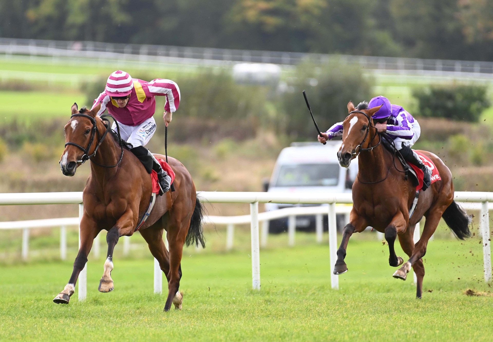 Drummin Life (Gleneagles) Wins Her Maiden At Gowran Park