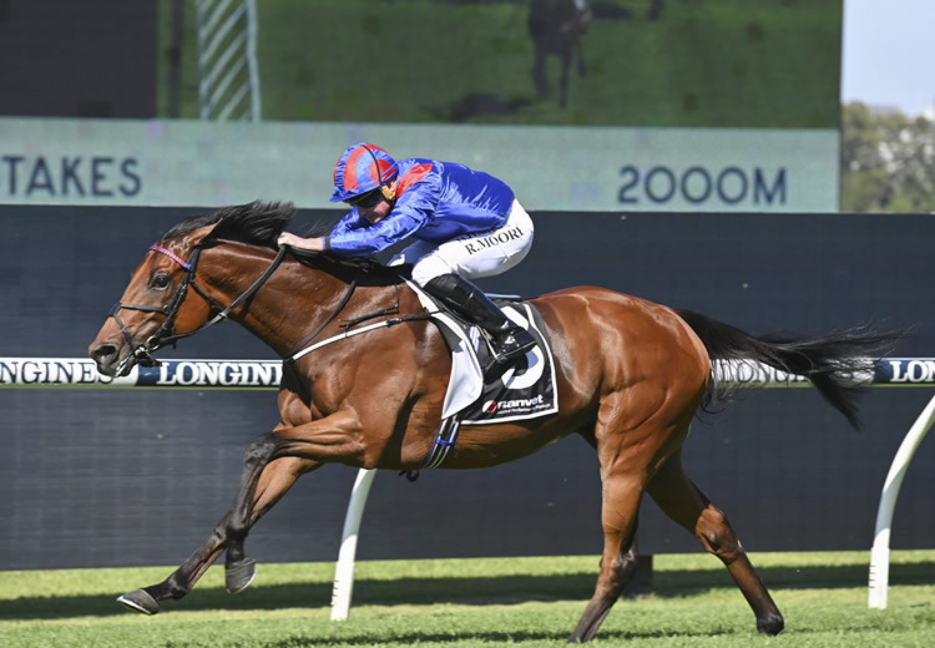 Dubai Honour (Pride Of Dubai) wins the Gr.1 Ranvet Stakes at Rosehill