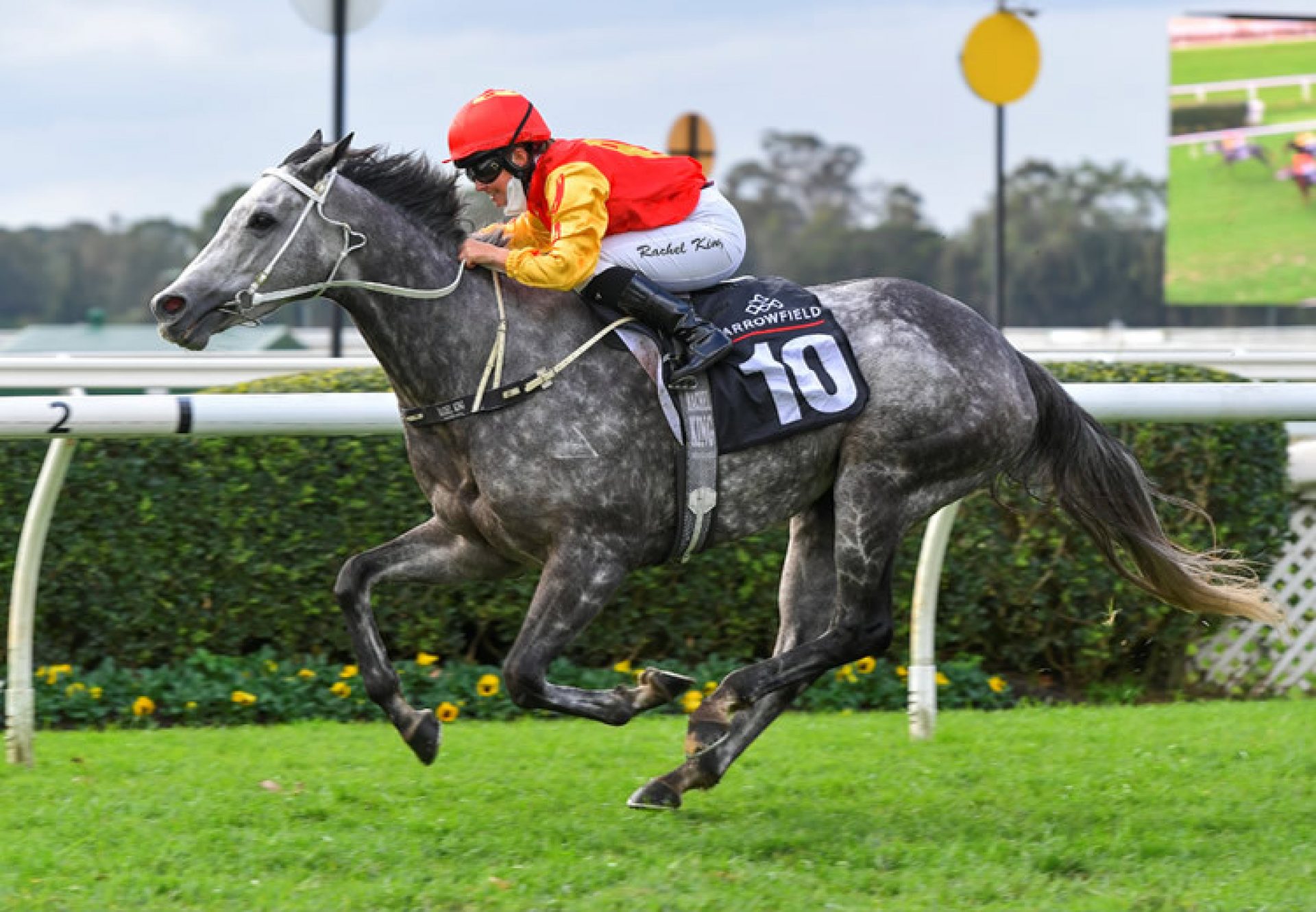 Duchess Adele (Adelaide) winning at Warwick Farm