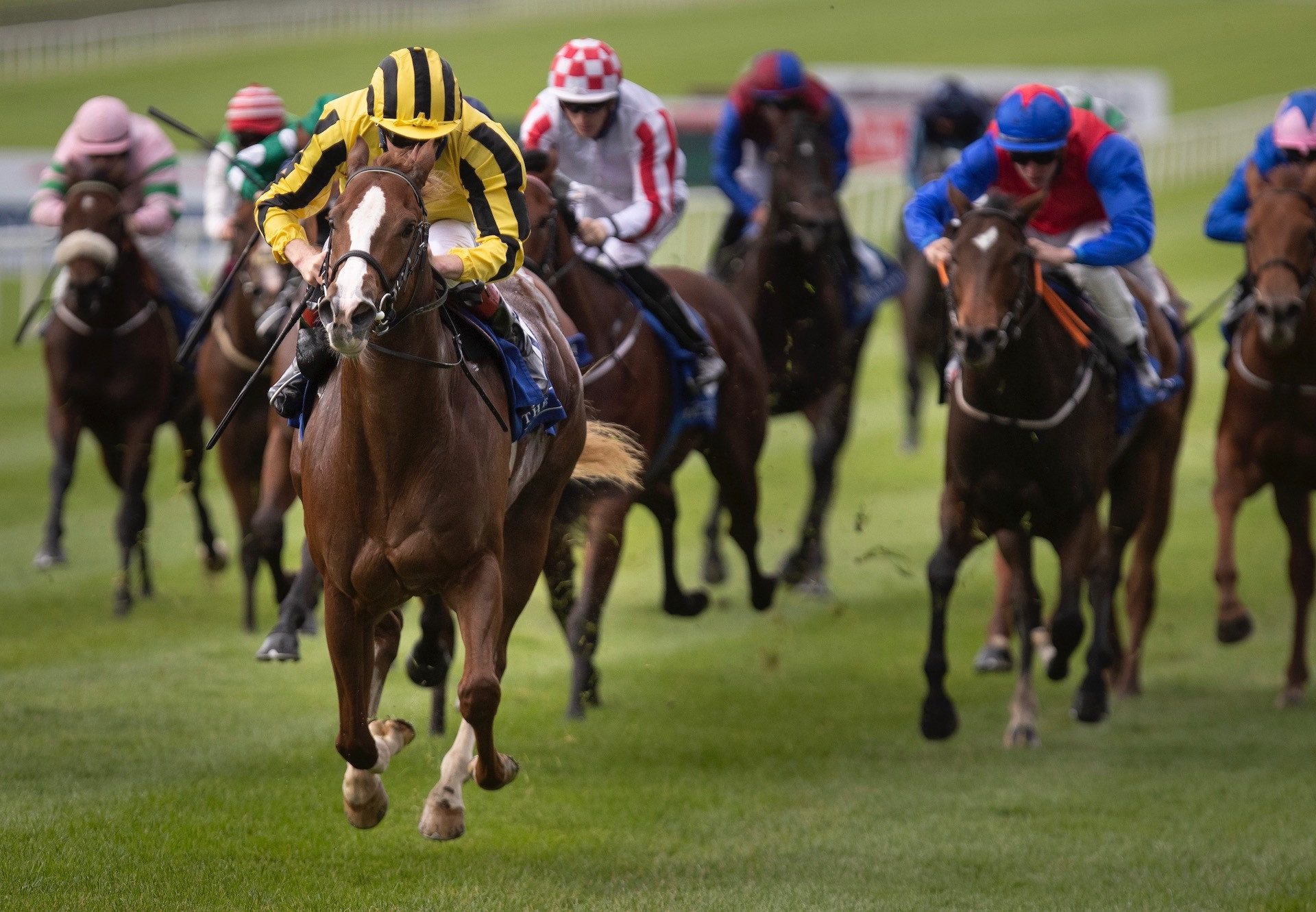 Dun Na Sead (Starspangledbanner) Impresses On Debut At The Curragh