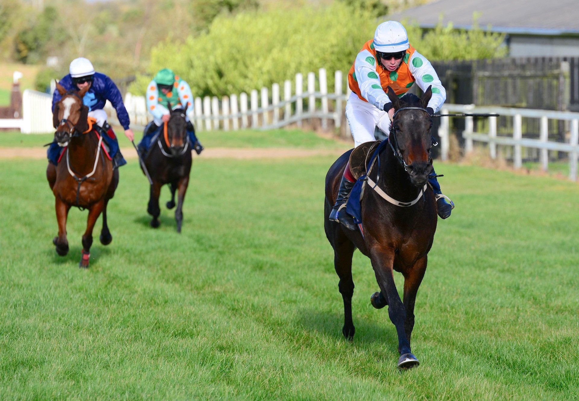 Dunboyne (Yeats) Wins At Tattersalls