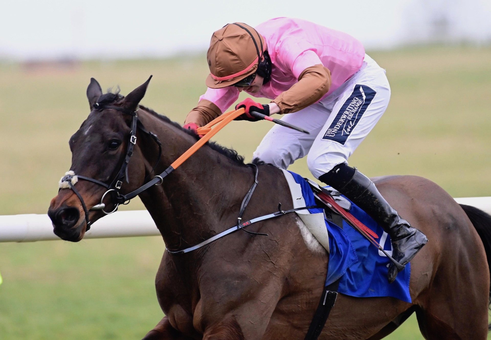 Dunboyne (Yeats) Wins His Maiden Hurdle At Thurles