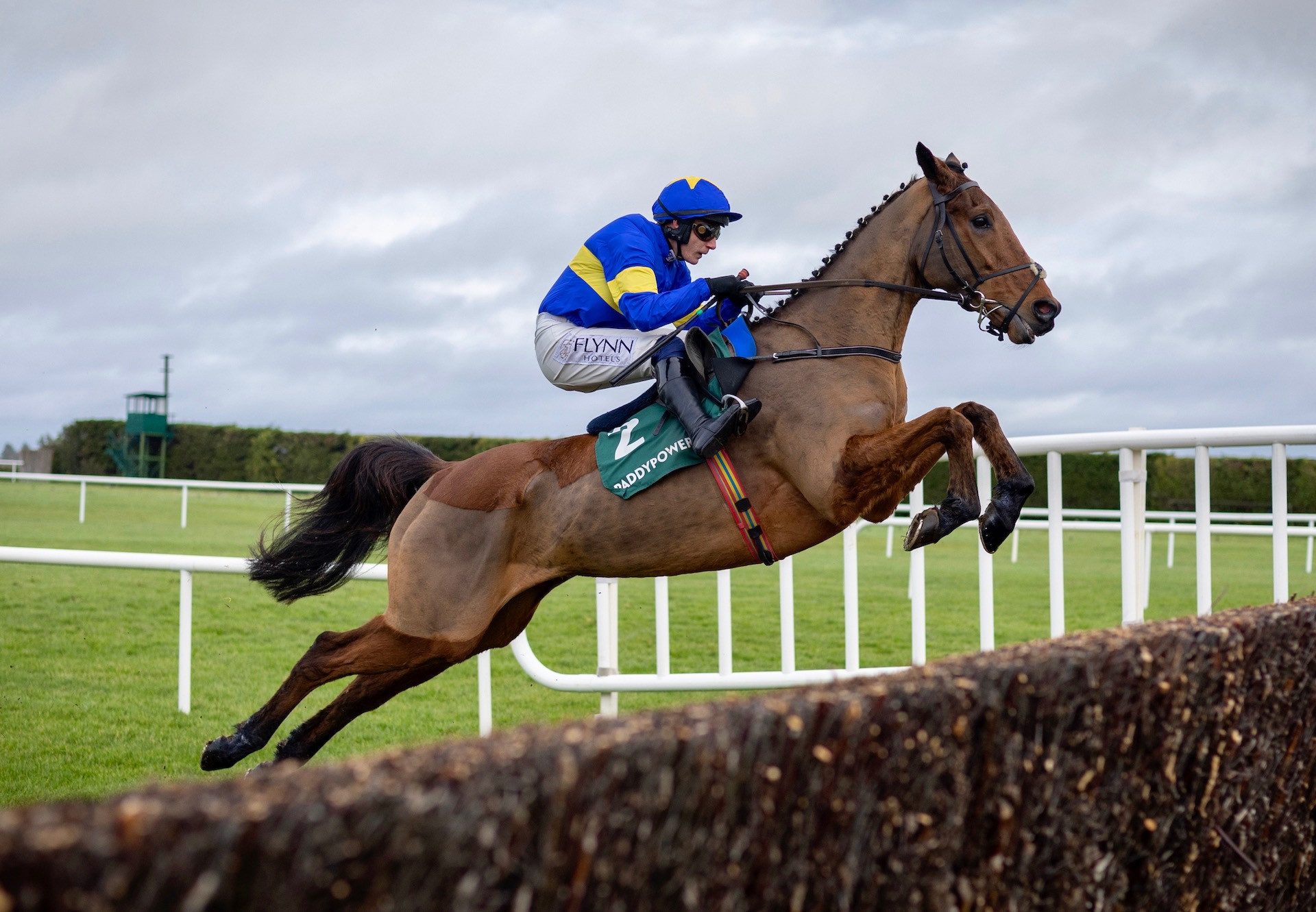 Dysart Dynamo (Westerner) Wins The Beginners Chase At Leopardstown