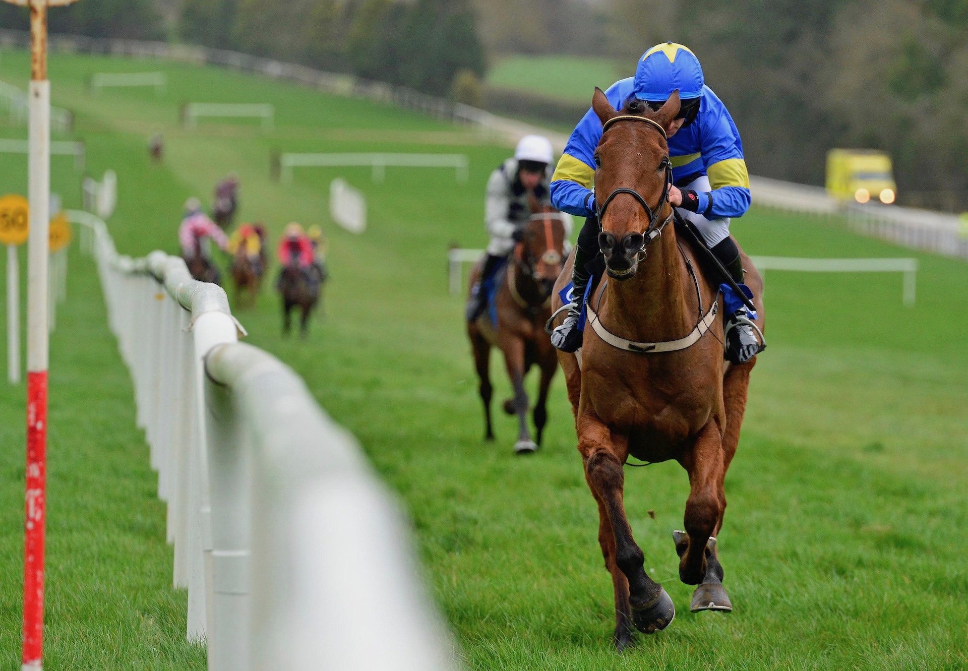 Dysart Dynamo (Westerner) Wins The Bumper At Clonmel