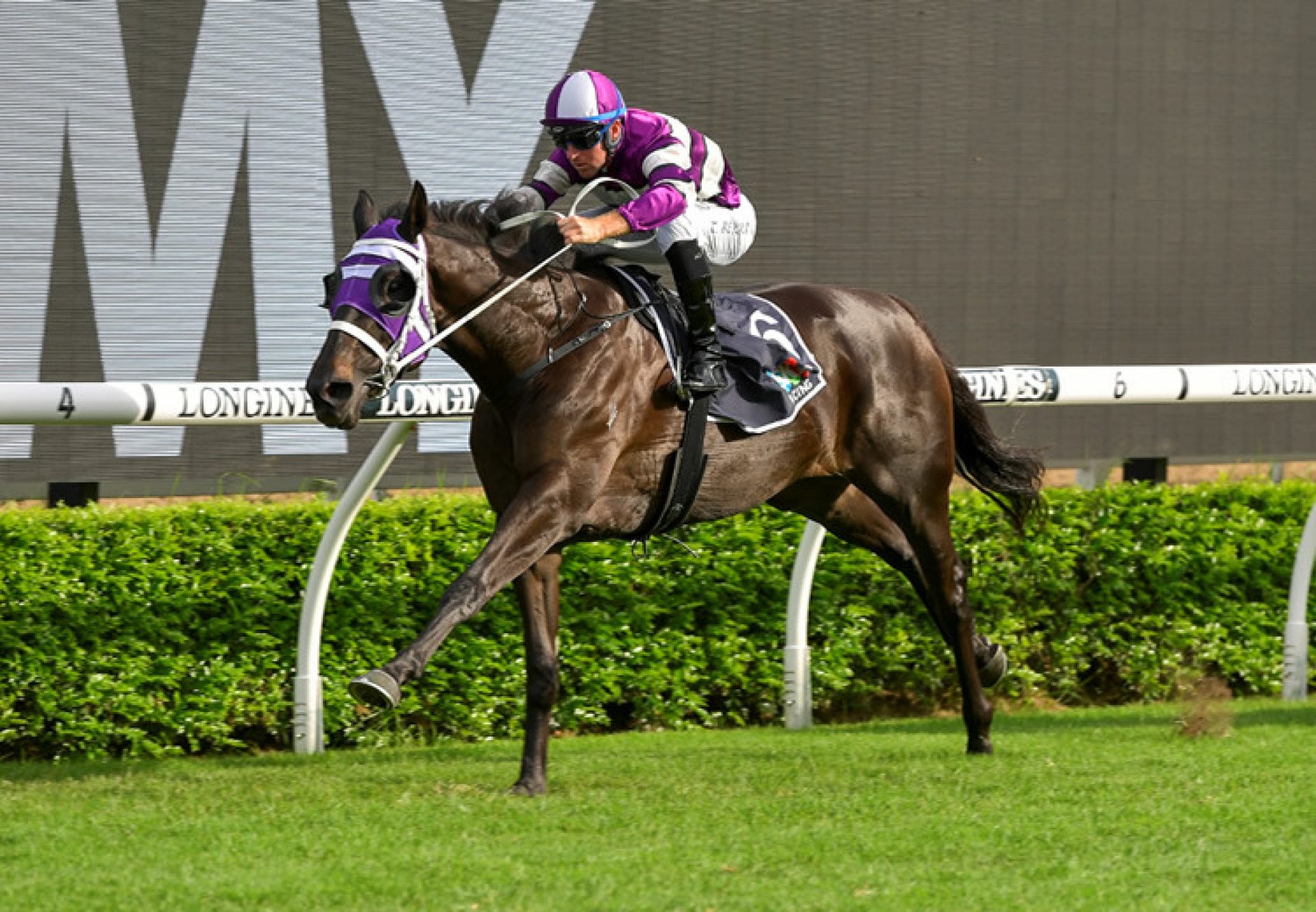 Easifar (Pride Of Dubai) winning the Listed Princess Stakes at Doomben
