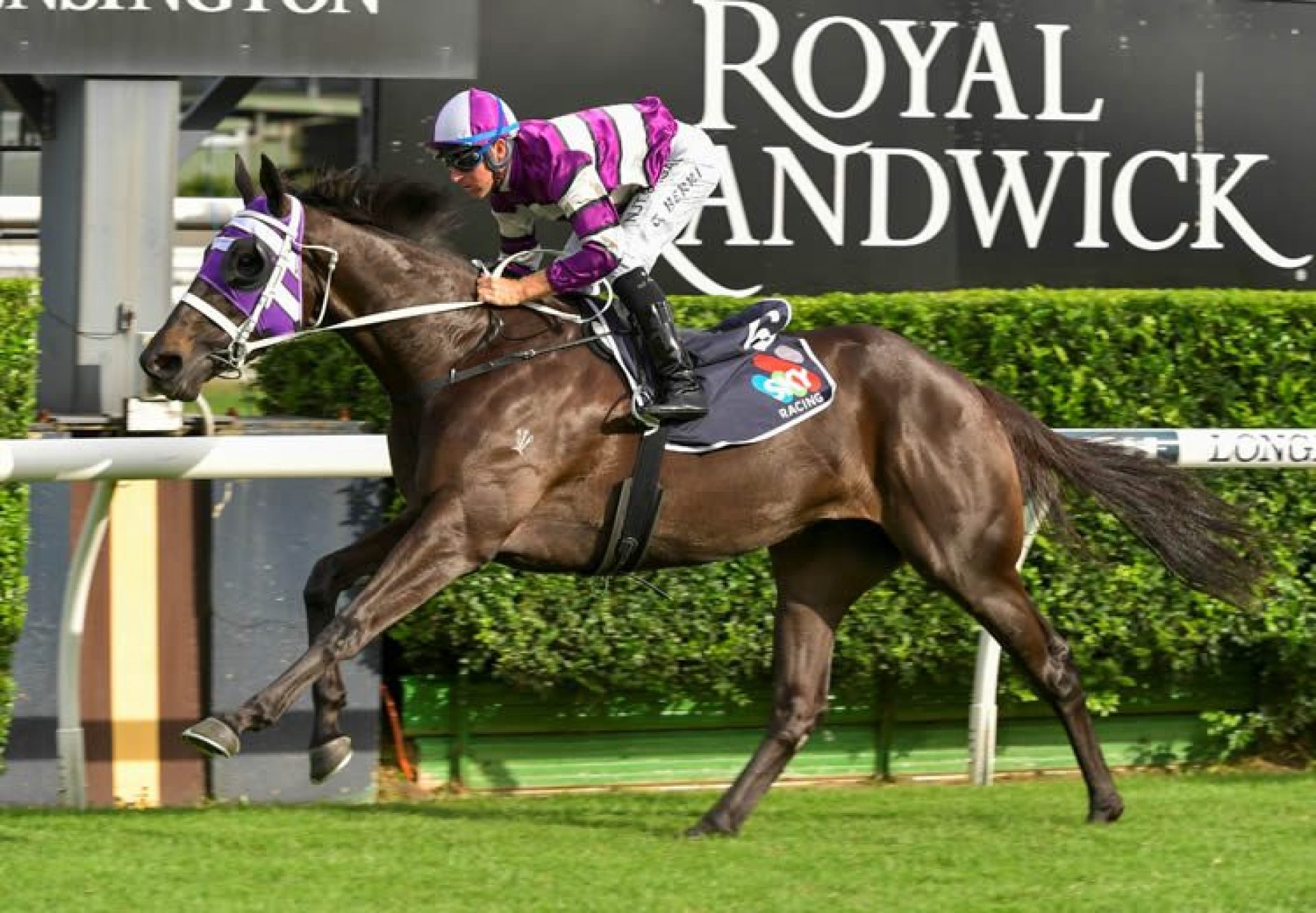 Easifar (Pride Of Dubai) winning at Randwick