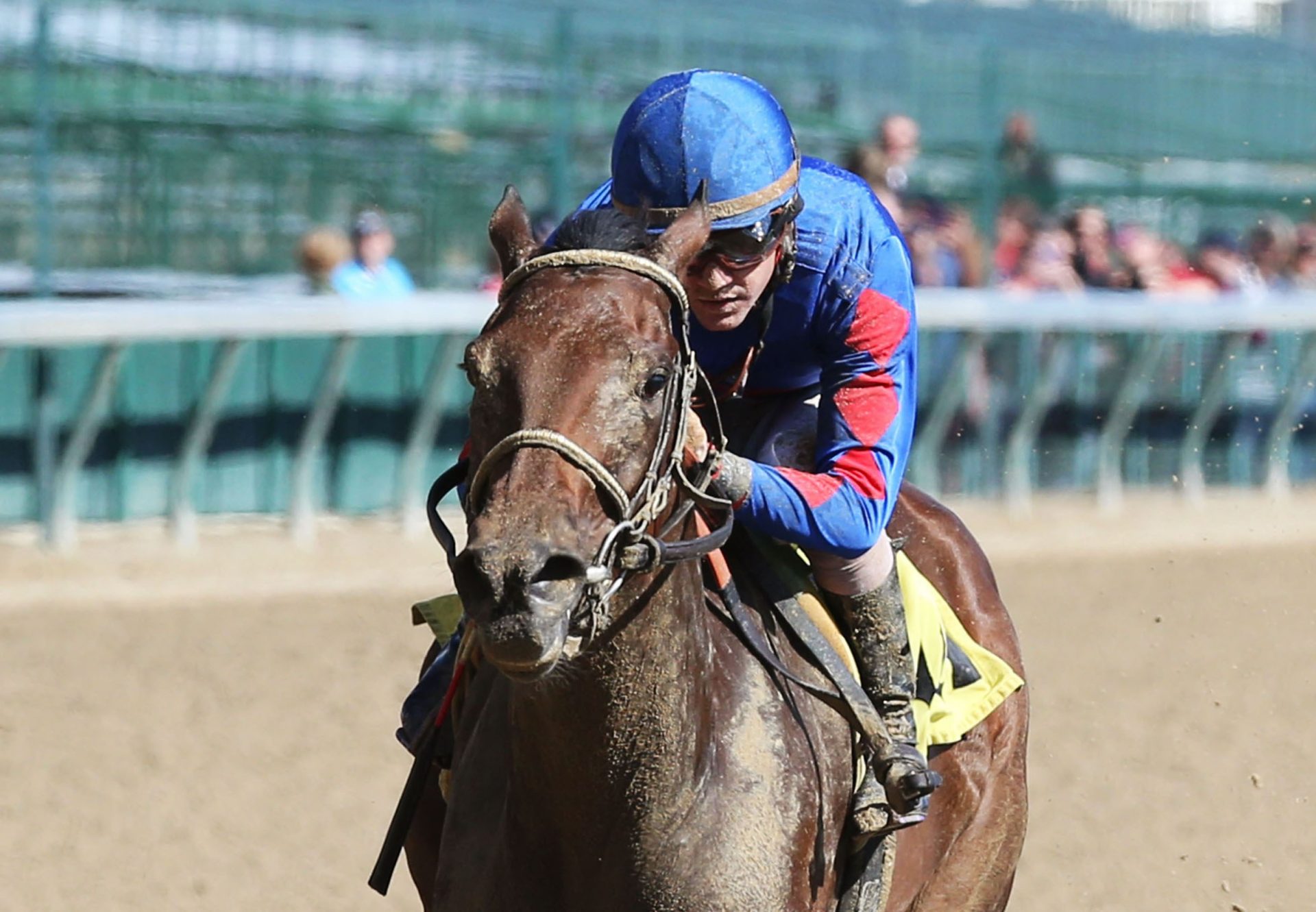 Emilys Oasis (American Pharoah) Breaking Maiden At Churchill Downs