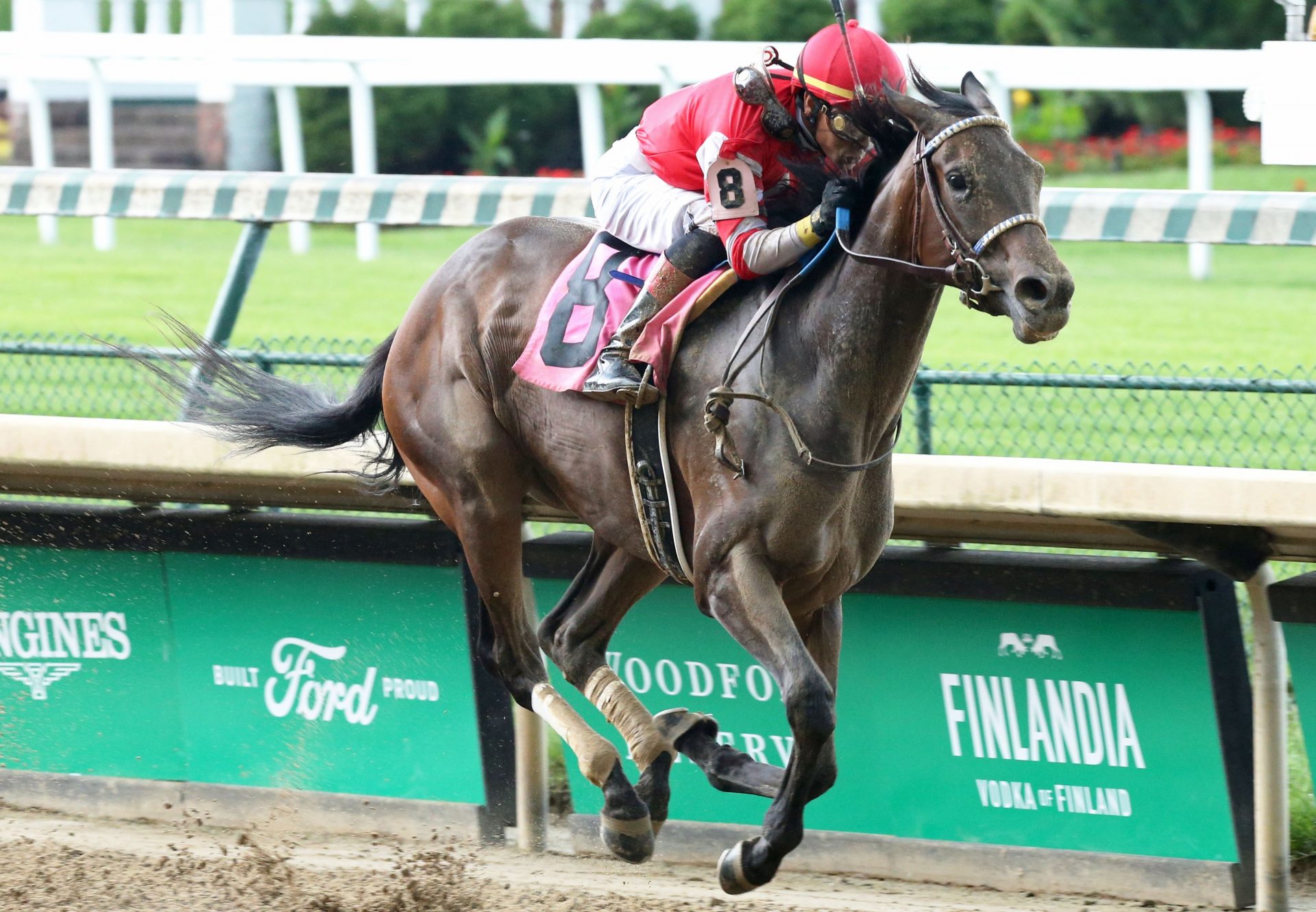 Envoutante (Uncle Mo) wins at Churchill Downs