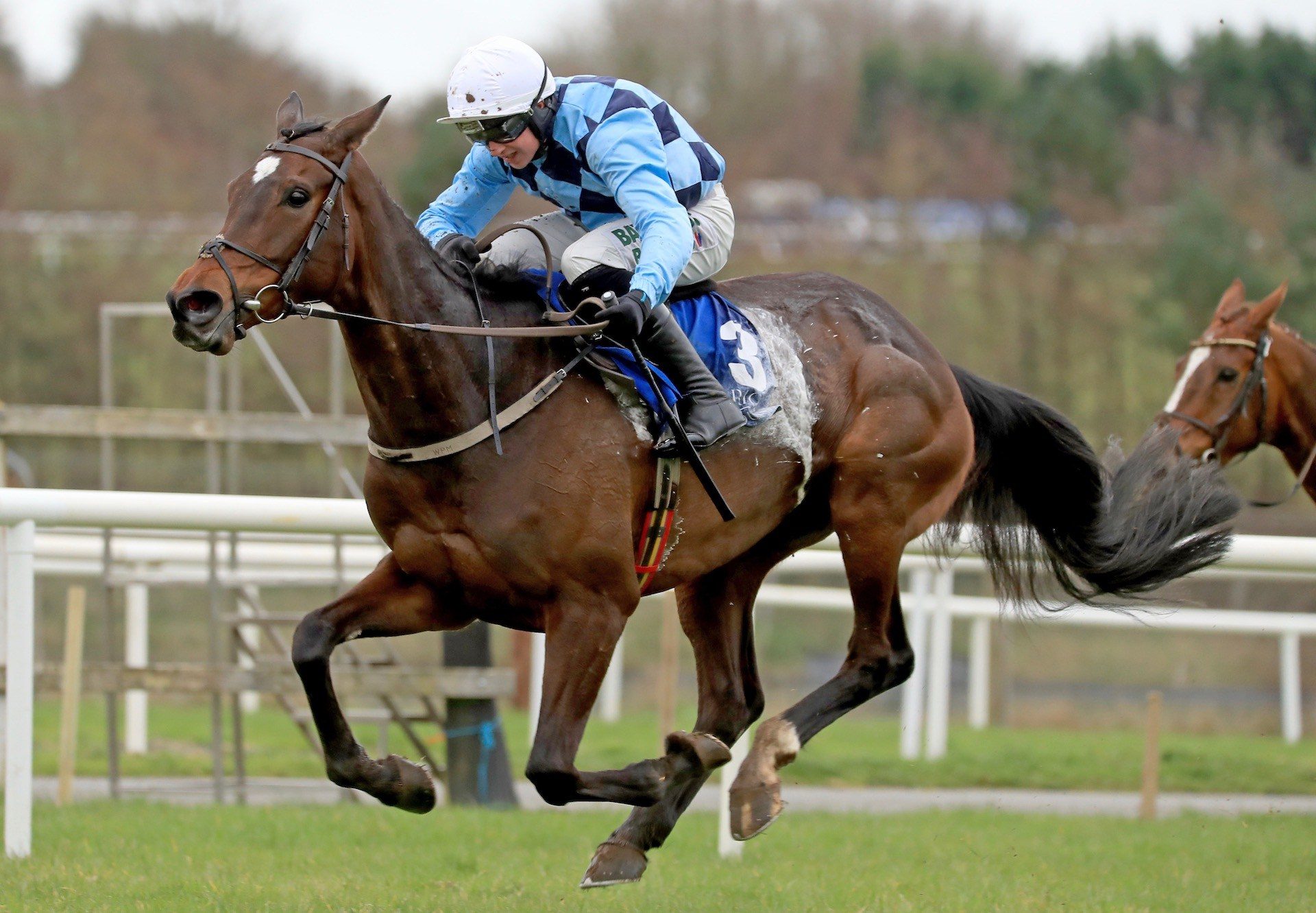 Eabha Grace (Walk In The Park) Wins The Grade 3 Shannon Spray Mares Novice Hurdle at Limerick