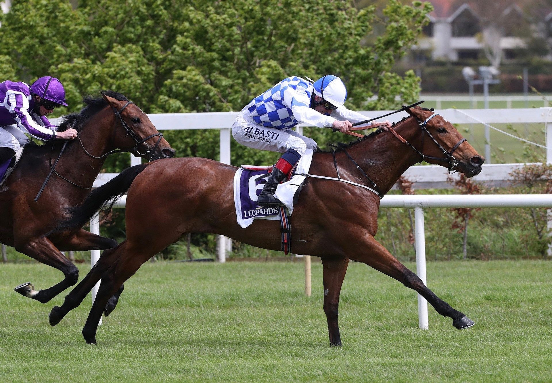 Eaglefield (Gleneagles) Wins His Maiden At Leopardstown